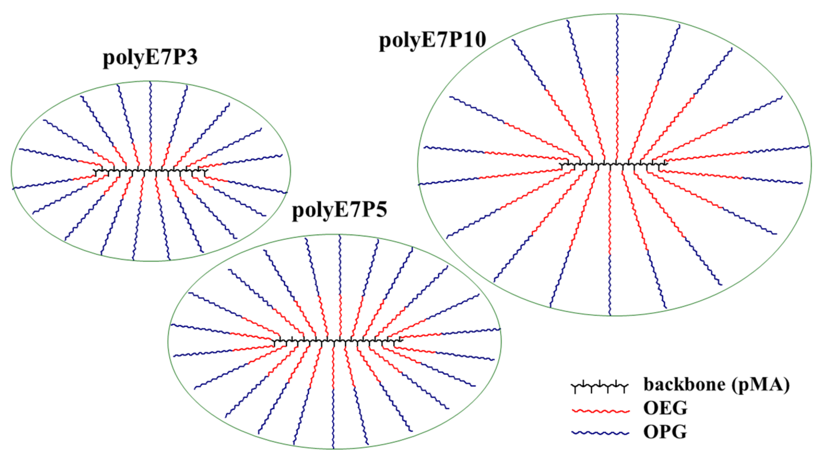 Polymers 13 02715 g004