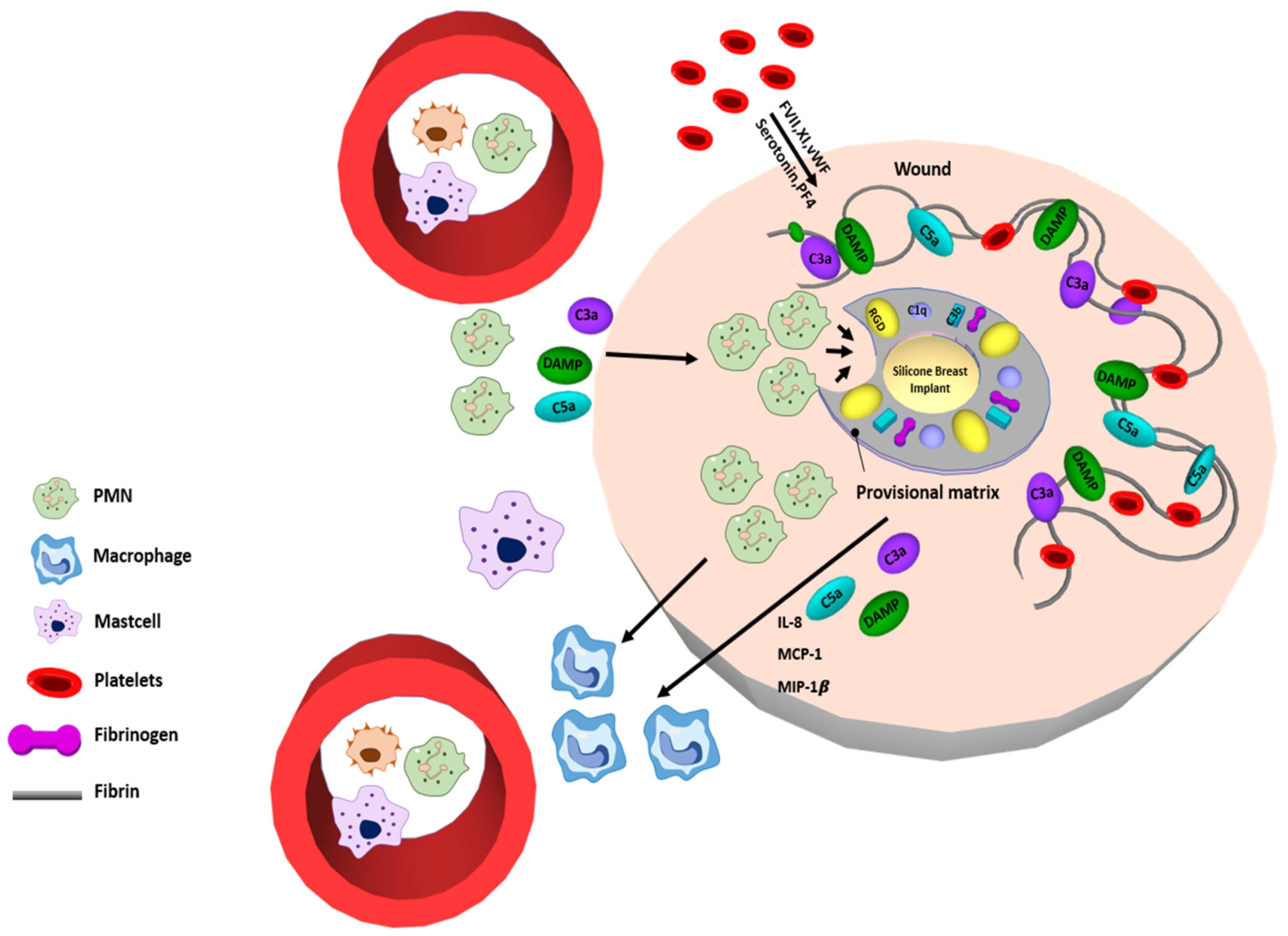 Polymers 13 02731 g002