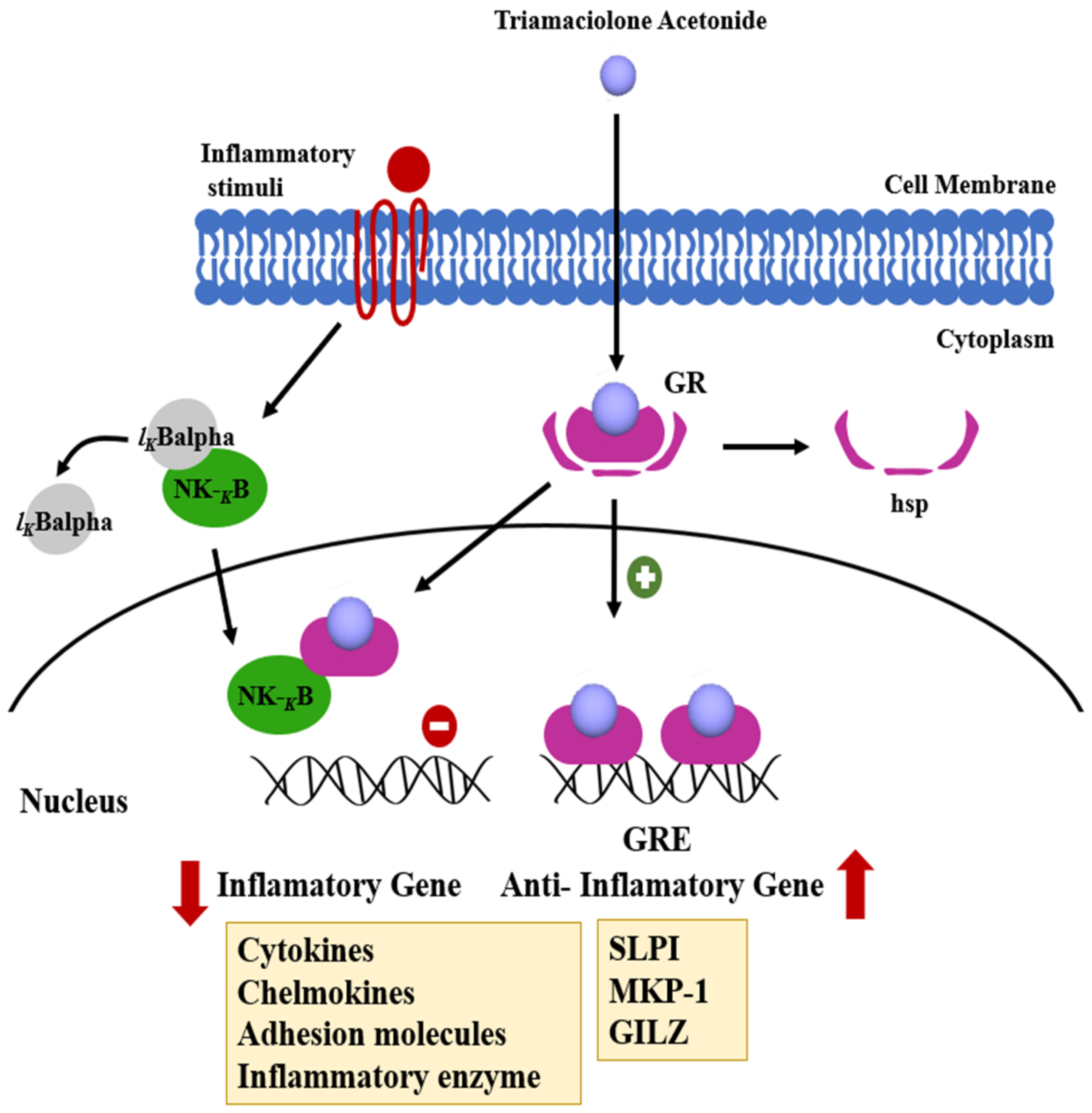 Polymers 13 02731 g007