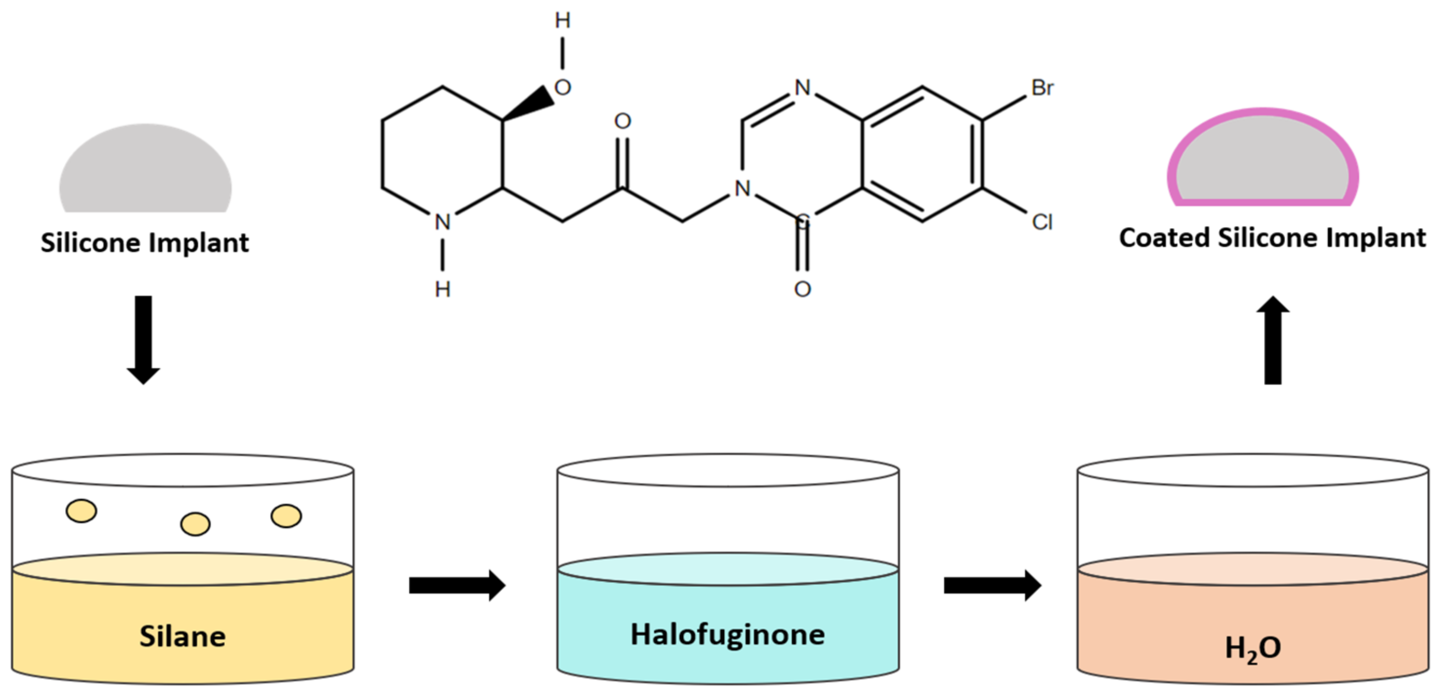 Polymers 13 02731 g011