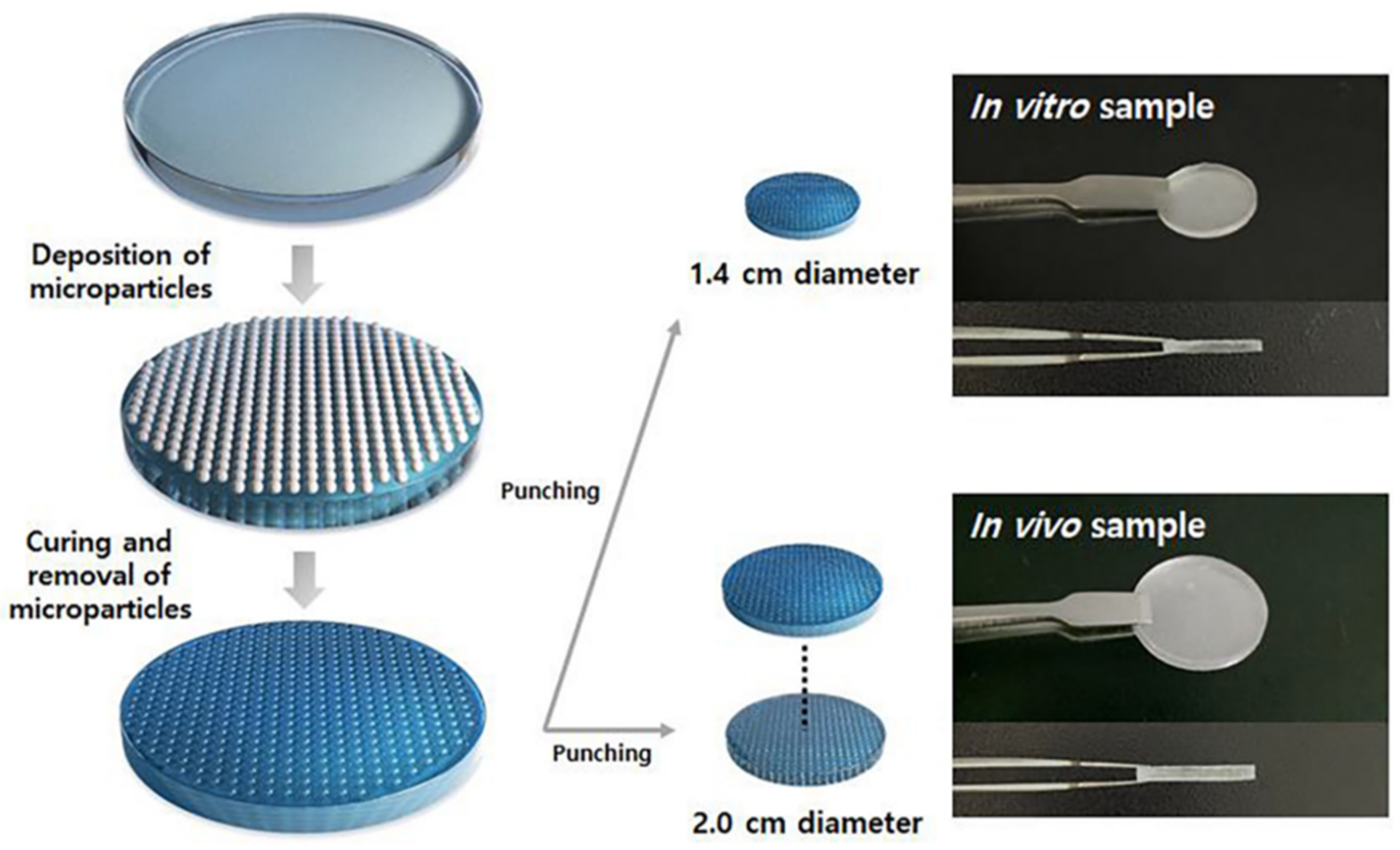 Polymers 13 02731 g015