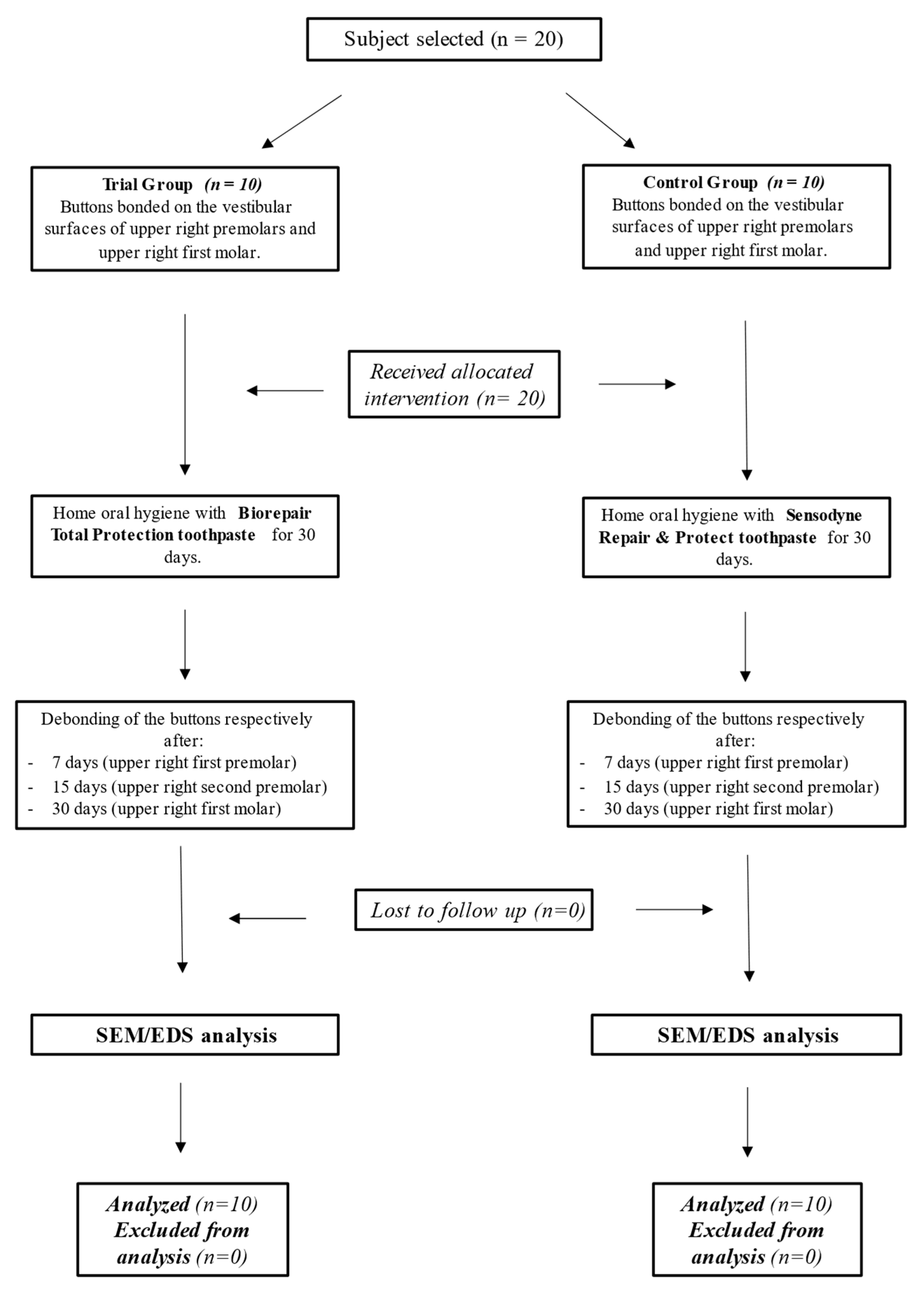 Polymers 13 02740 g002
