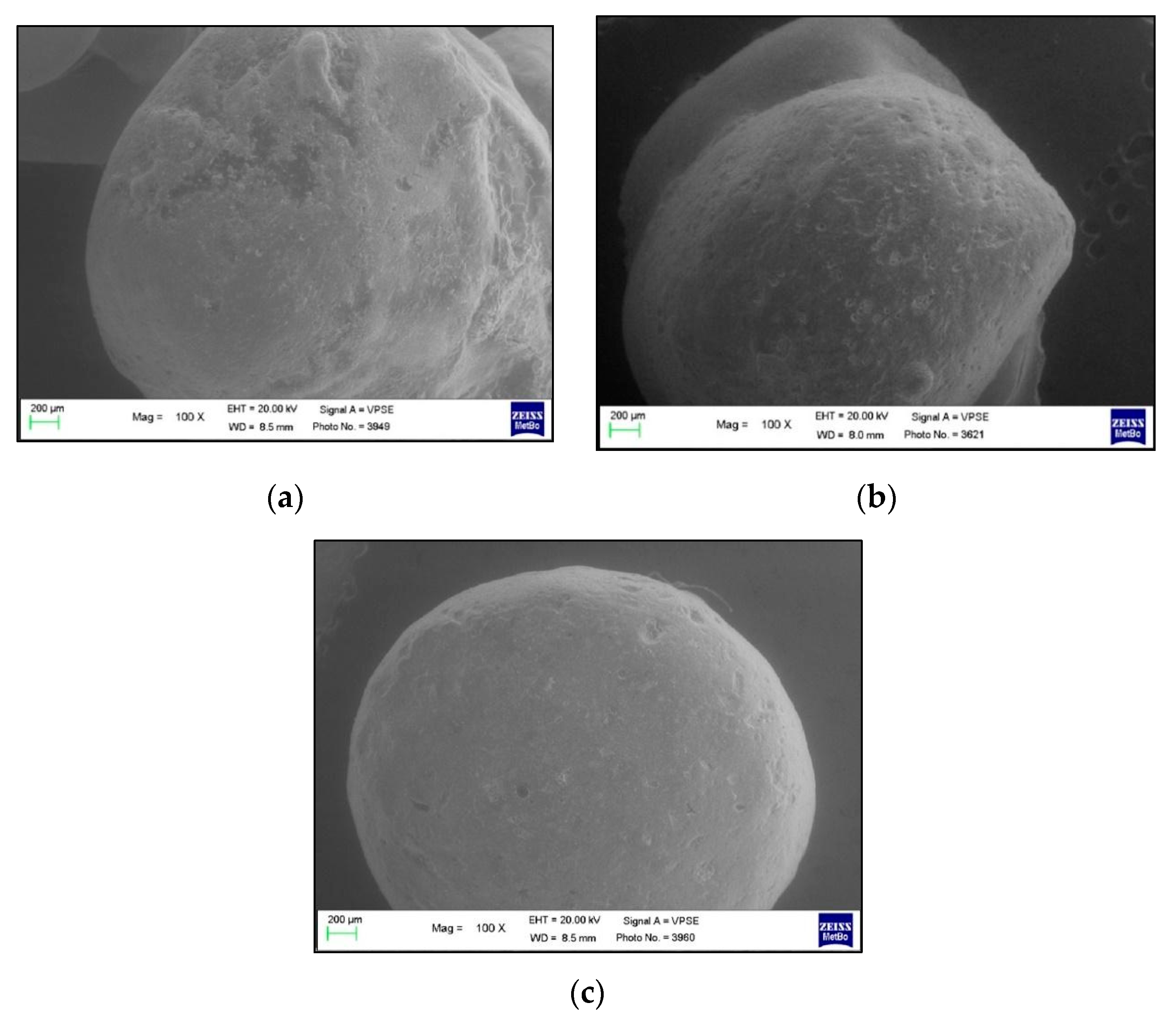 Polymers 13 02740 g004