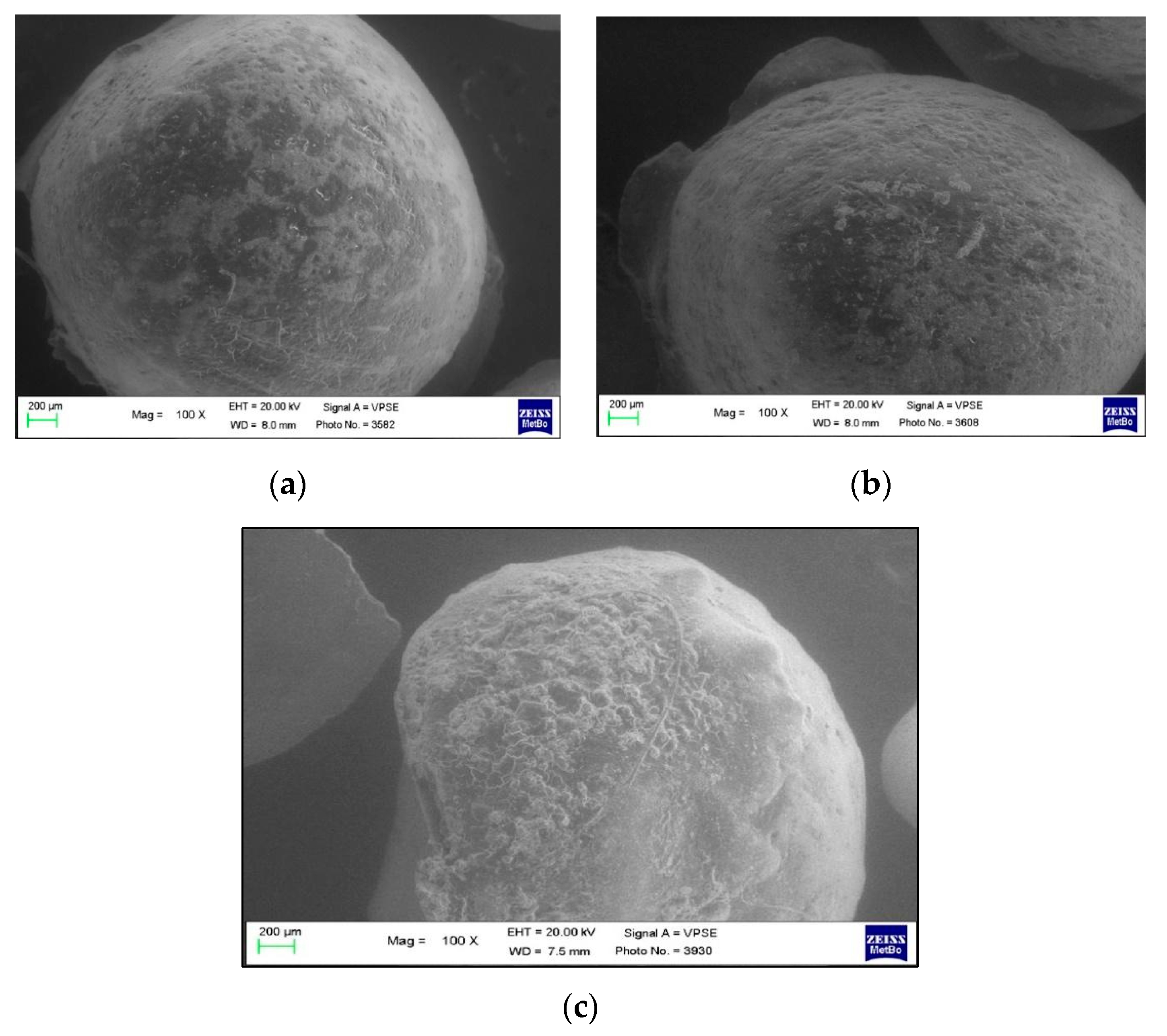 Polymers 13 02740 g005