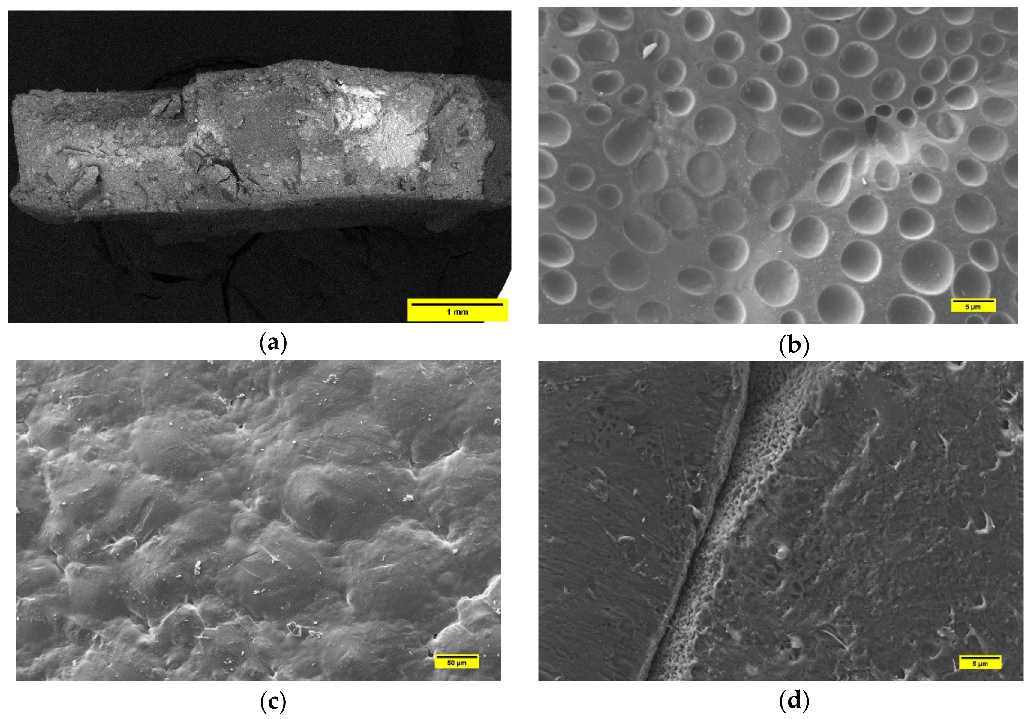 Polymers 13 02751 g007