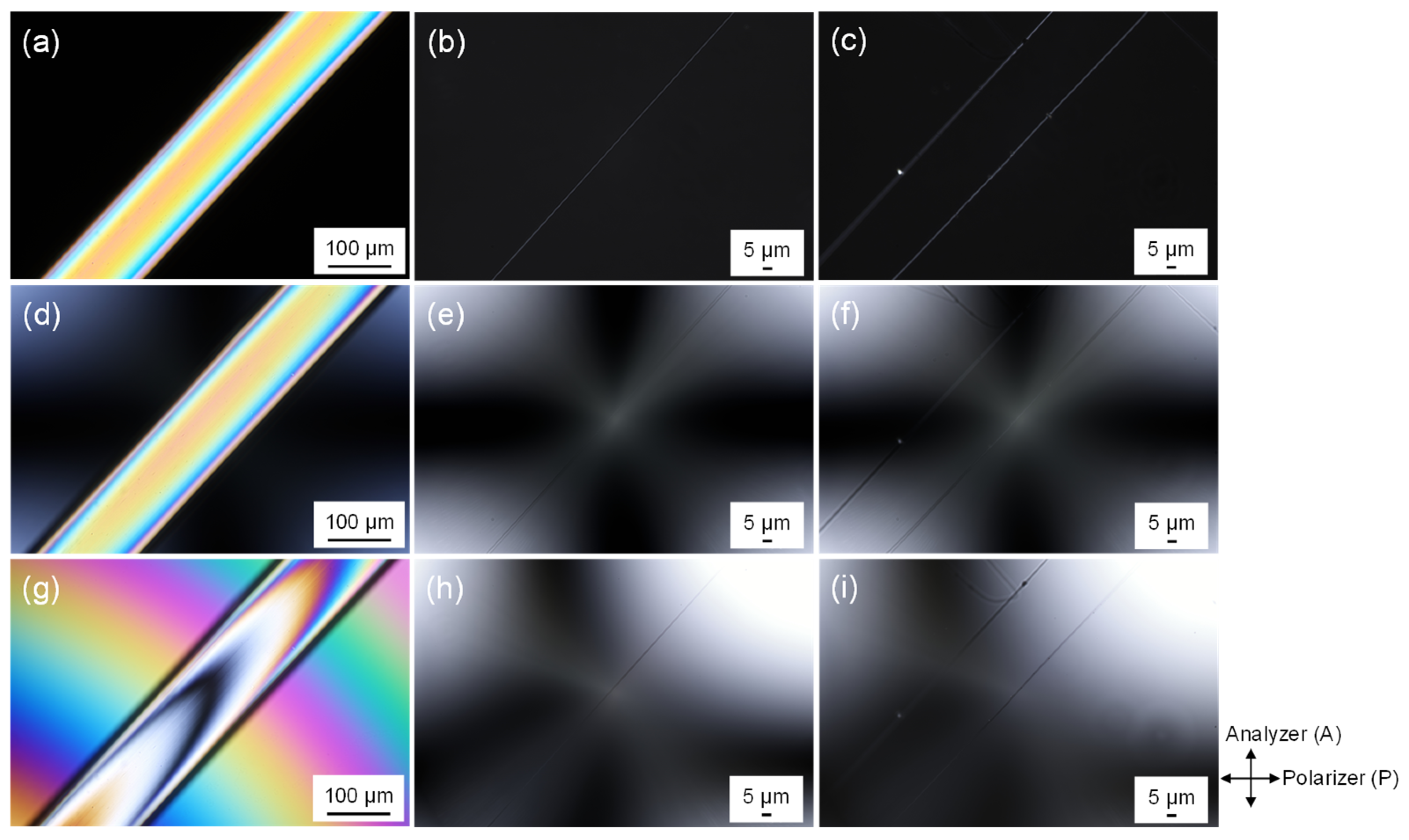 Polymers 13 02776 g009