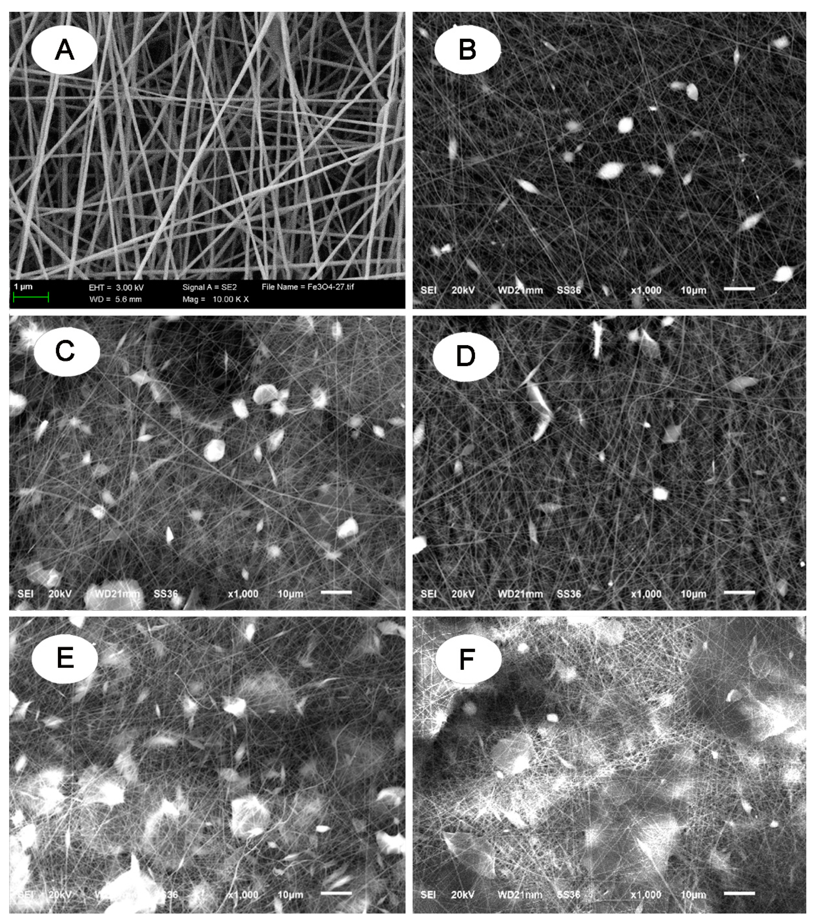 Polymers 13 02784 g002