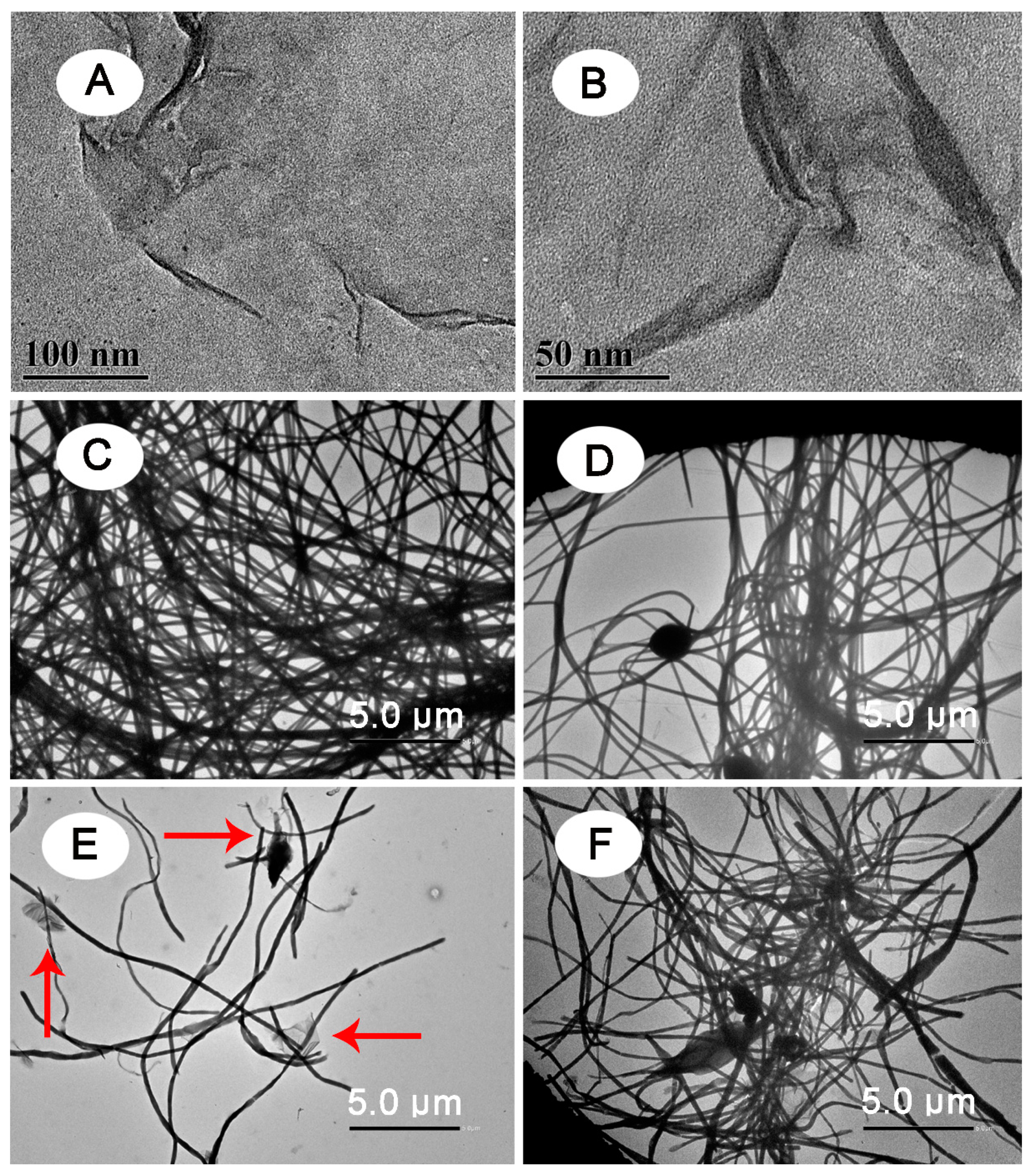 Polymers 13 02784 g003