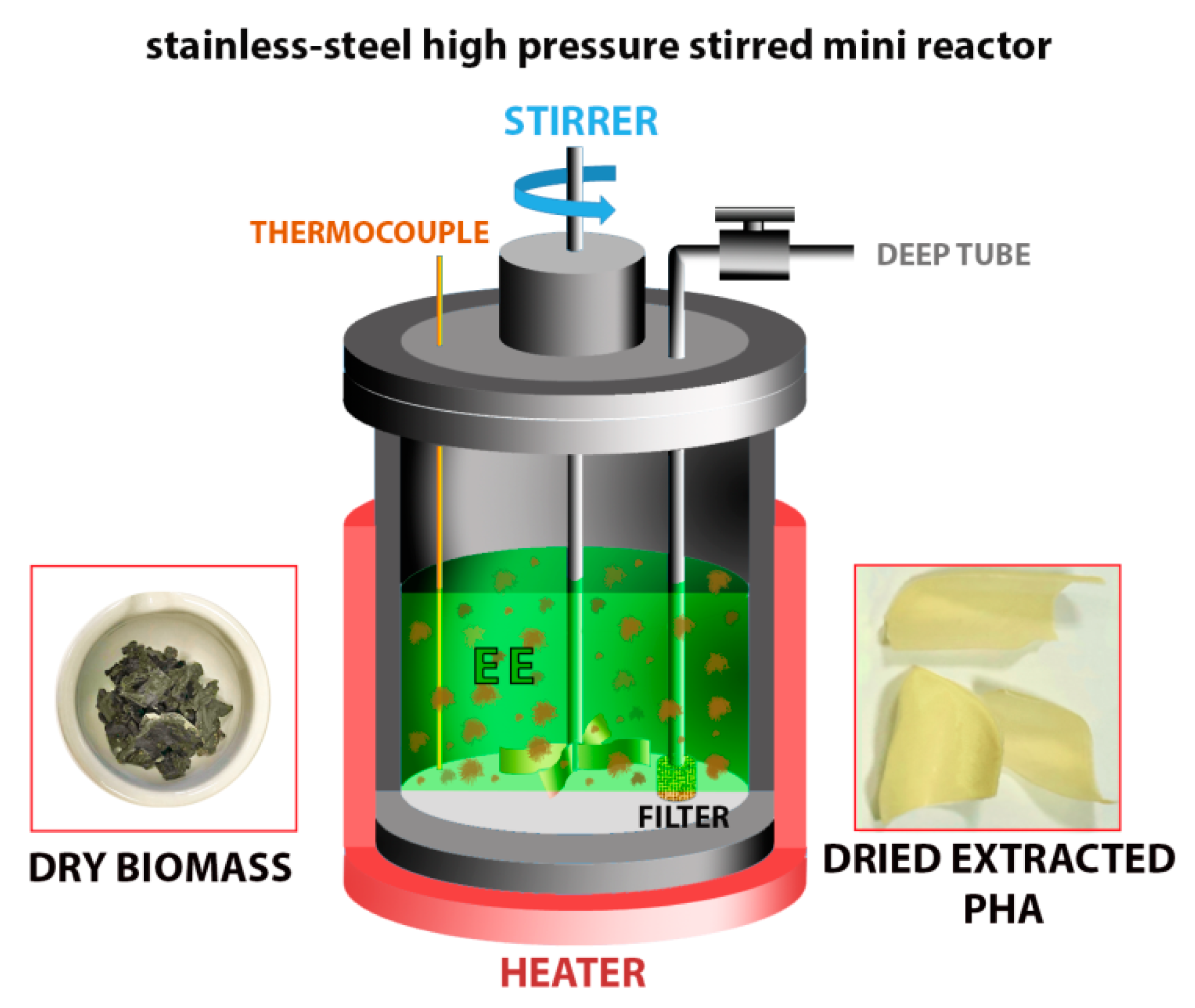 Polymers 13 02789 g001