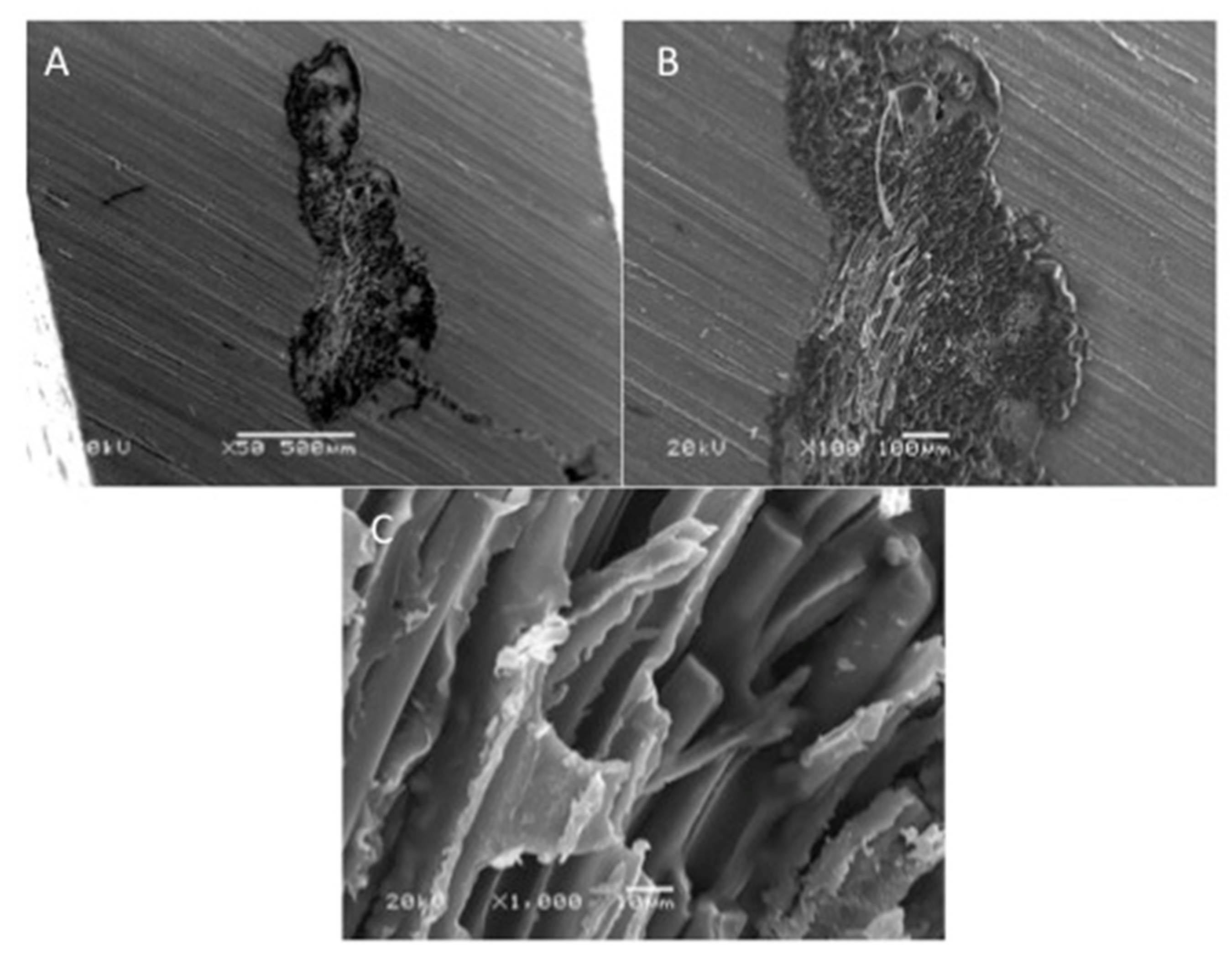 Polymers 13 02793 g006 Polymers 13 02793 g006