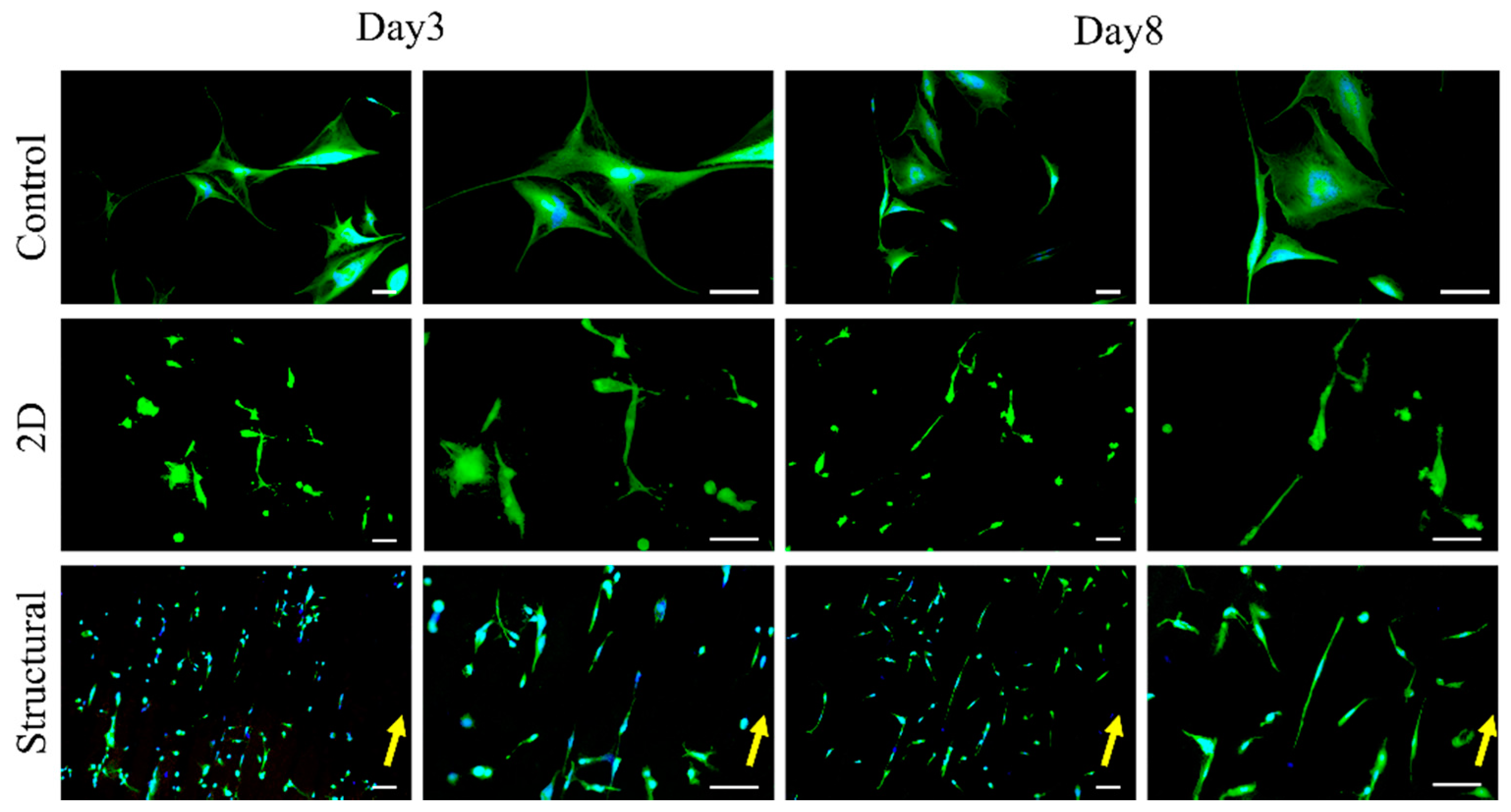 Polymers 13 02821 g006 Polymers 13 02821 g006
