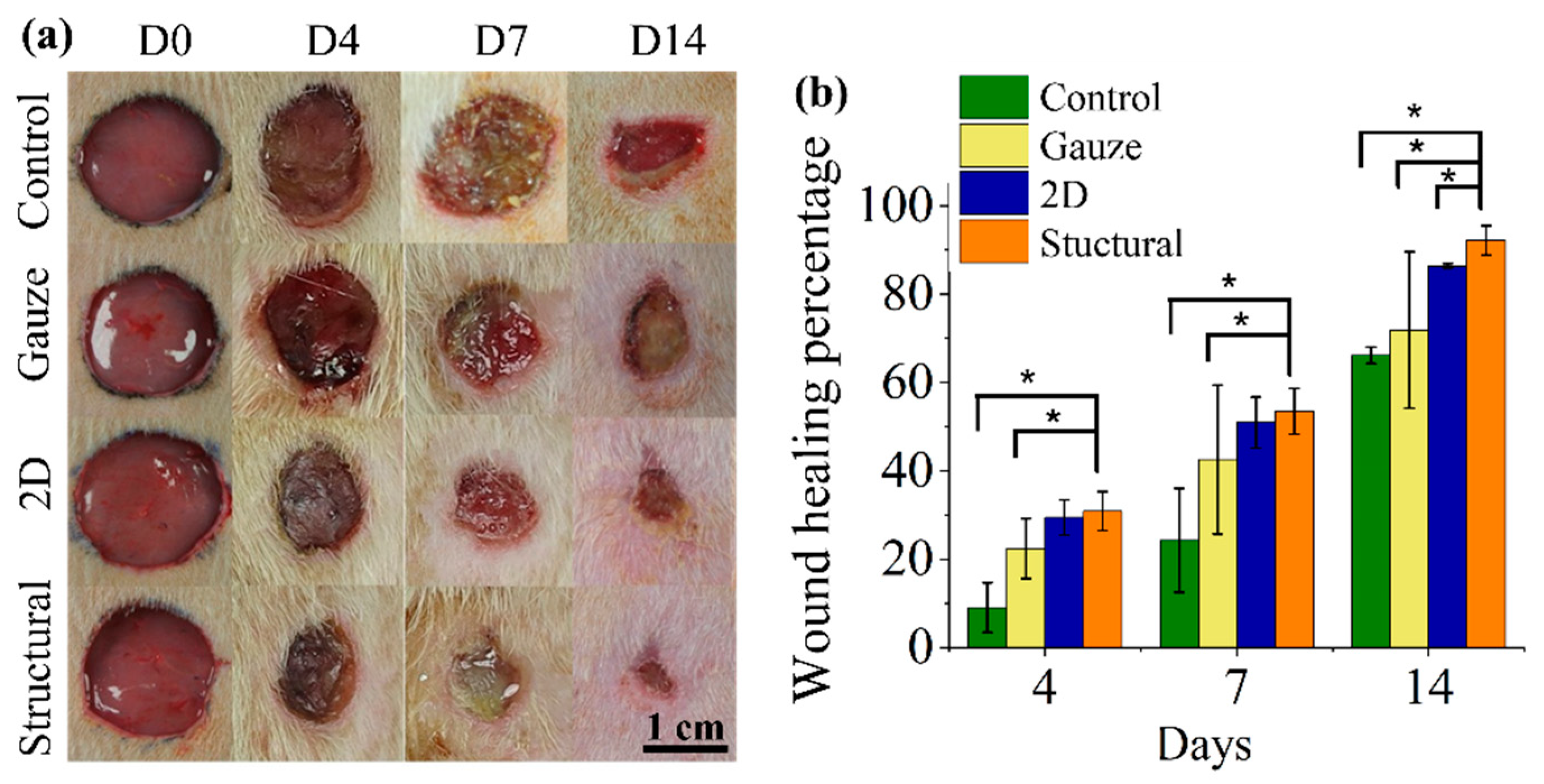 Polymers 13 02821 g009 Polymers 13 02821 g009