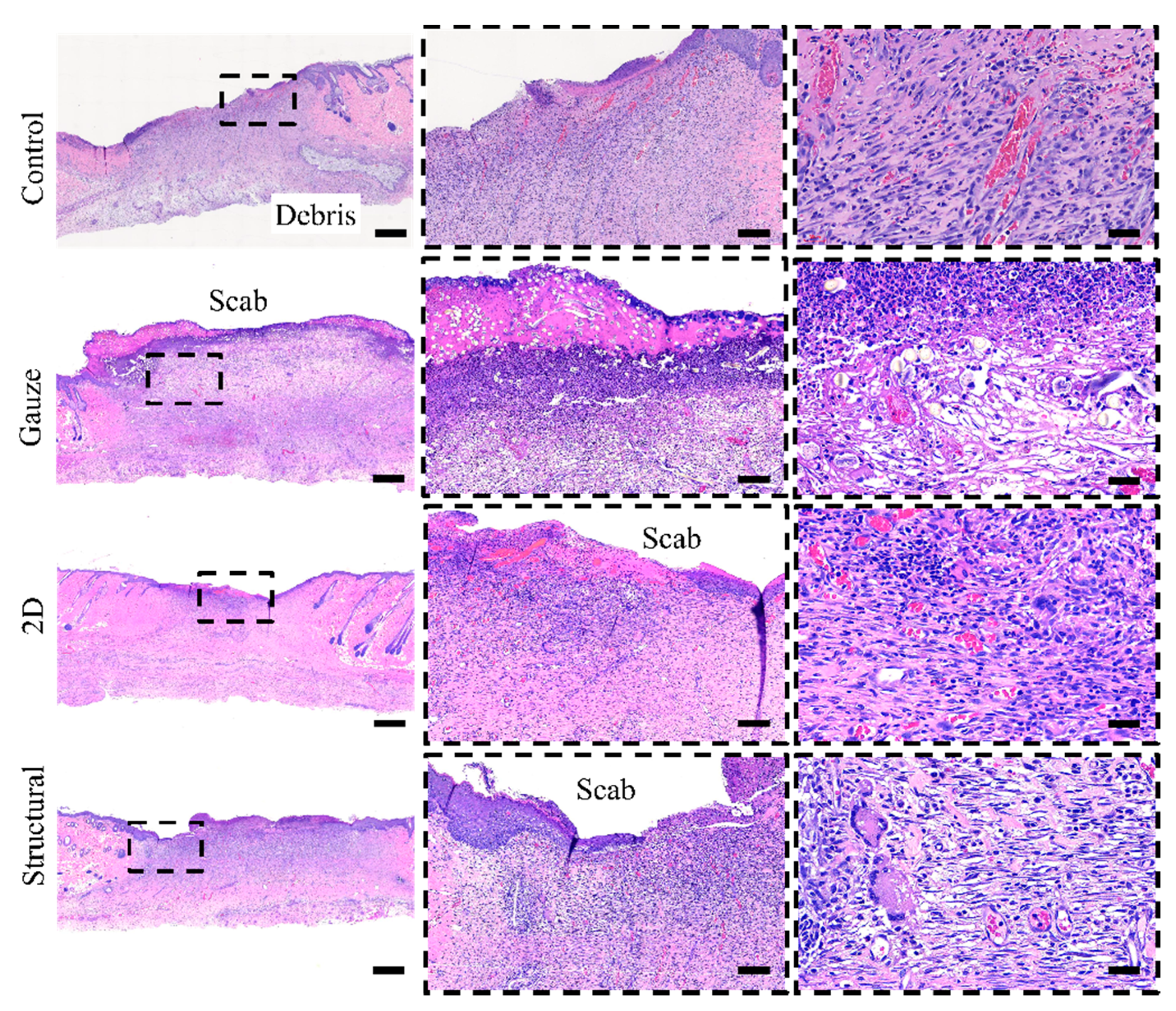 Polymers 13 02821 g010 Polymers 13 02821 g010