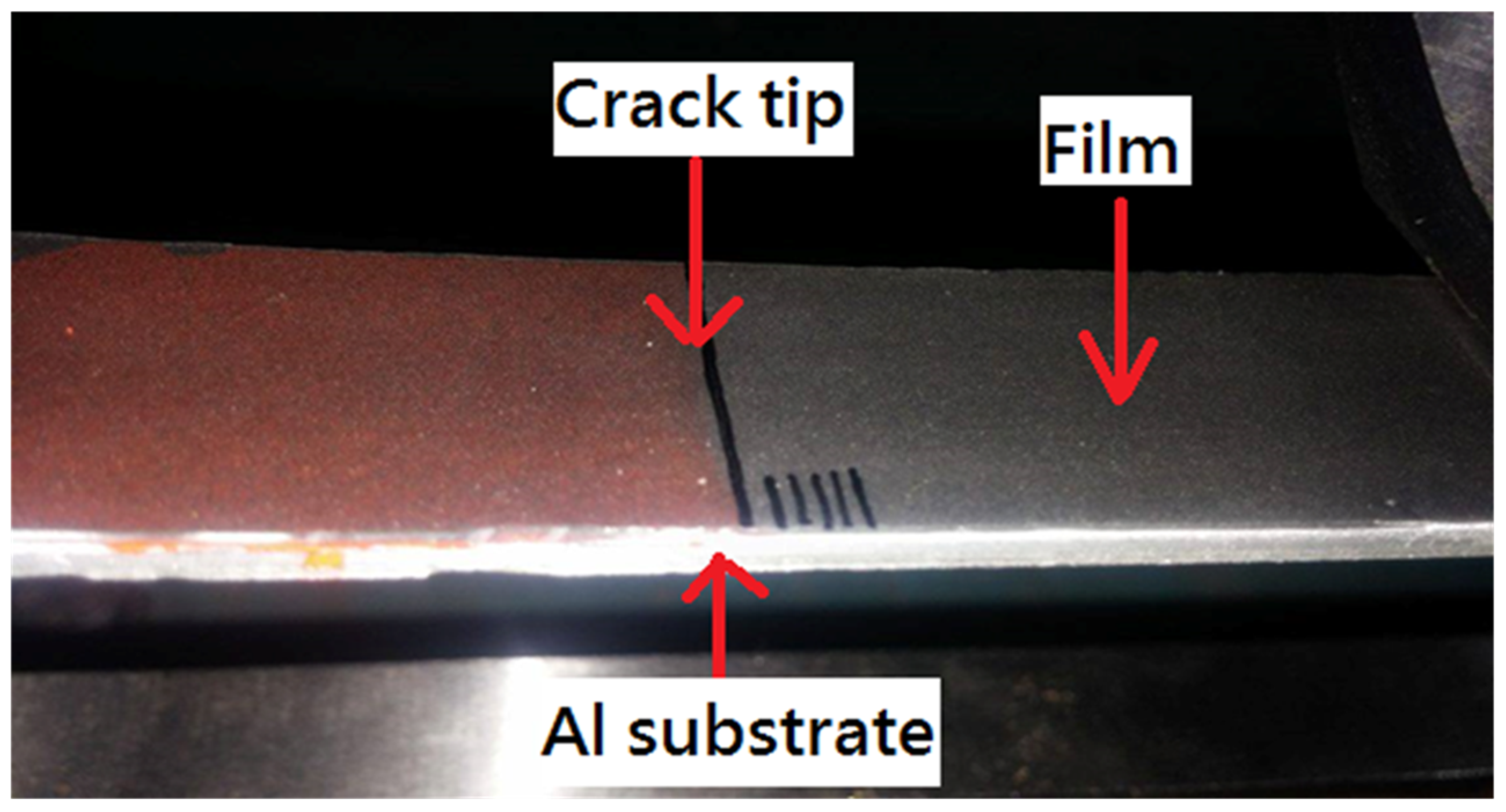 Polymers 13 02823 g006