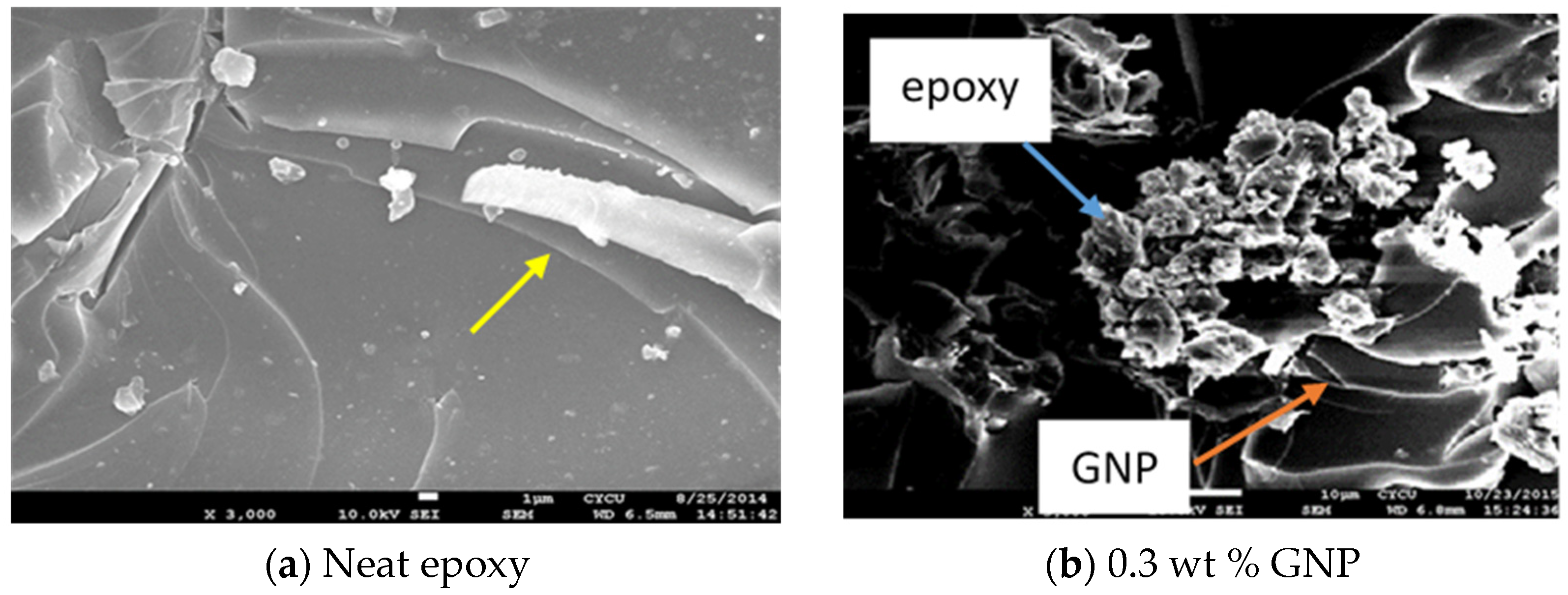 Polymers 13 02823 g008a