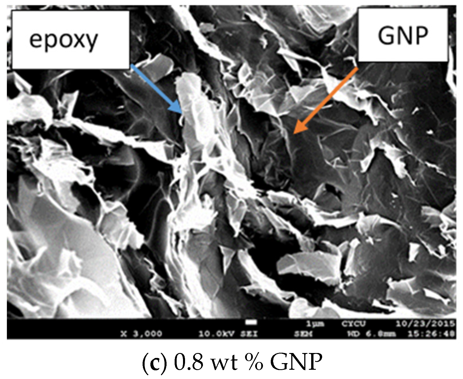 Polymers 13 02823 g008b