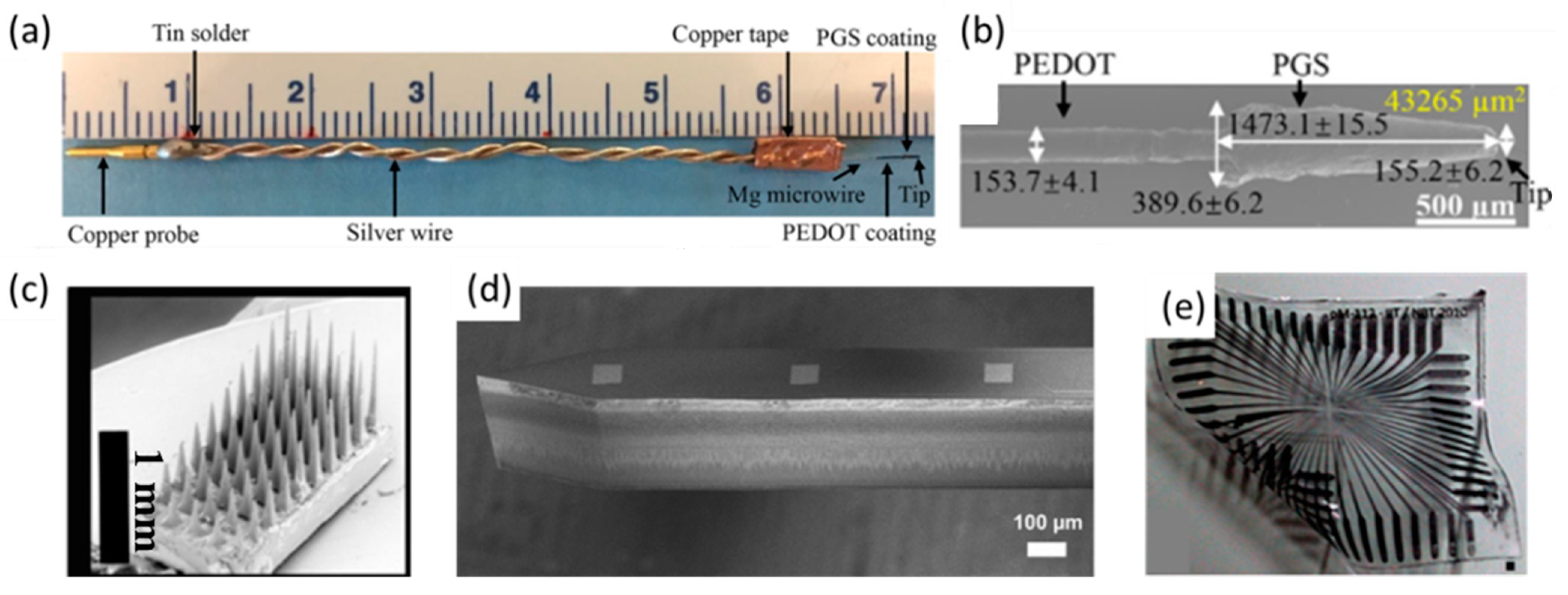 Soft Printable Electrode Coating for Neural Interfaces