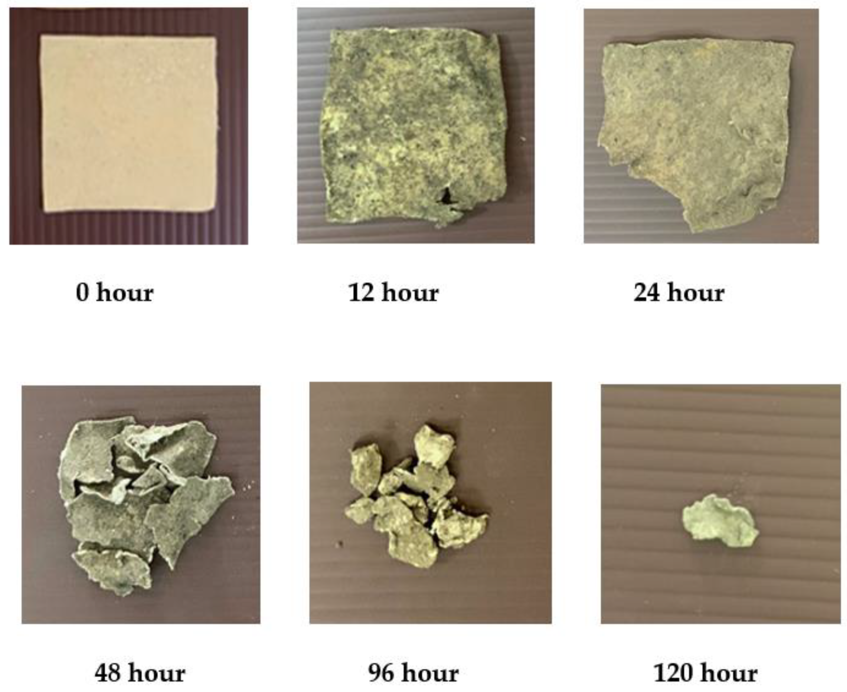 Polymers 13 02838 g006