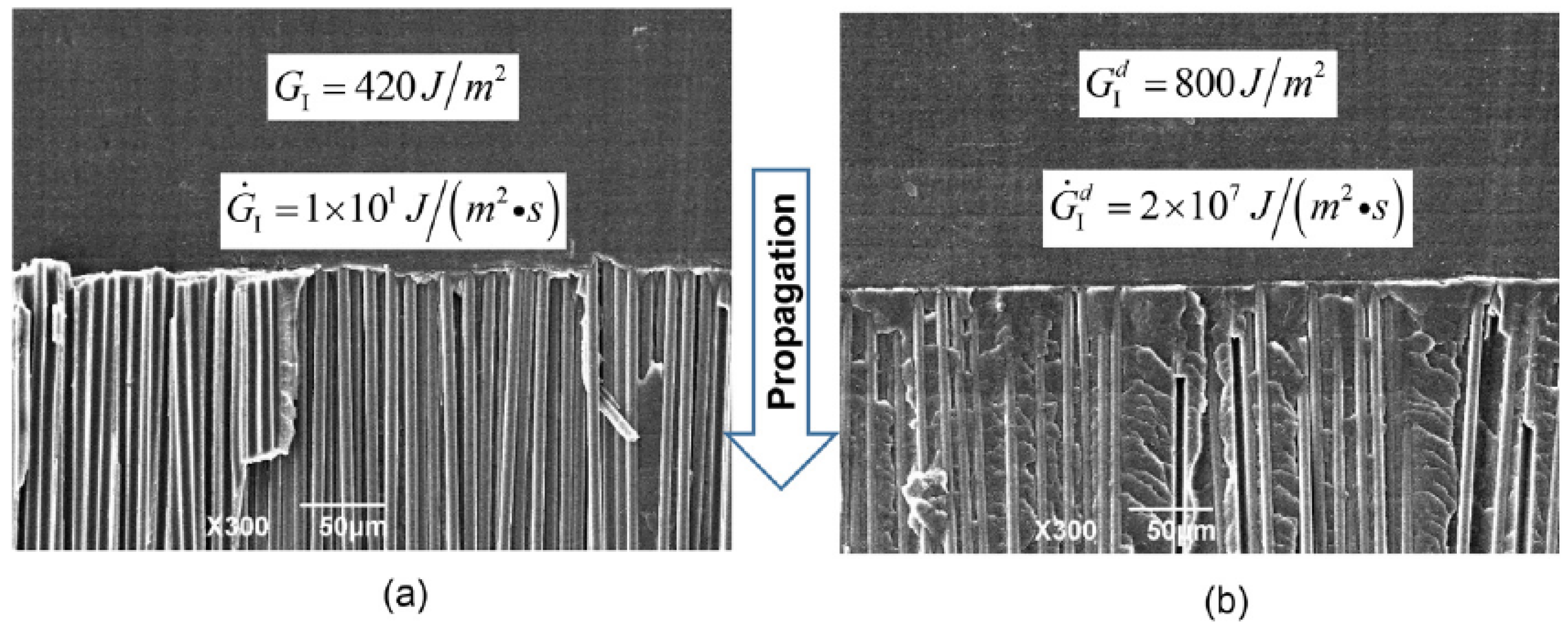 Polymers 13 02839 g007 Polymers 13 02839 g007