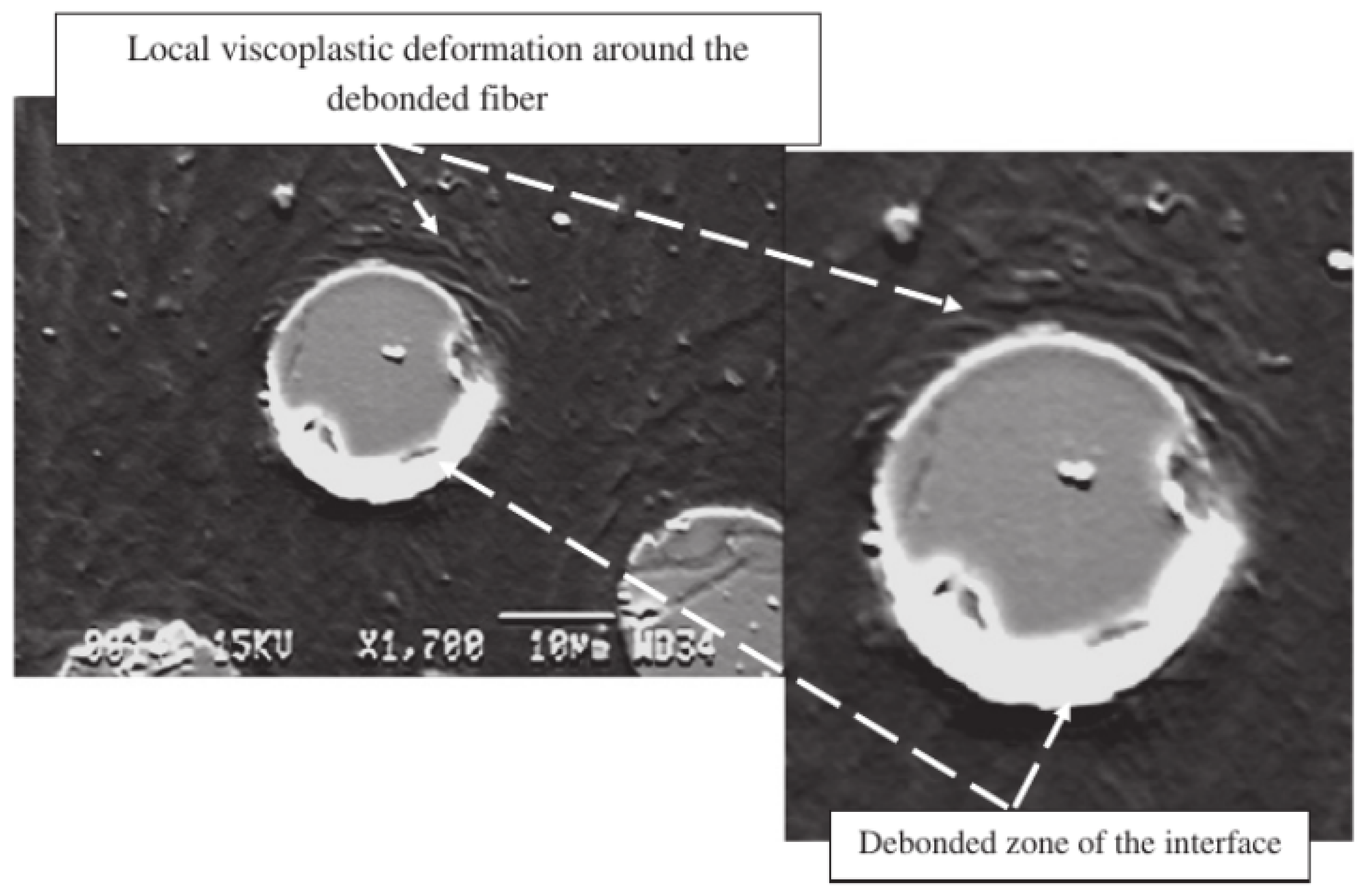 Polymers 13 02839 g013 Polymers 13 02839 g013