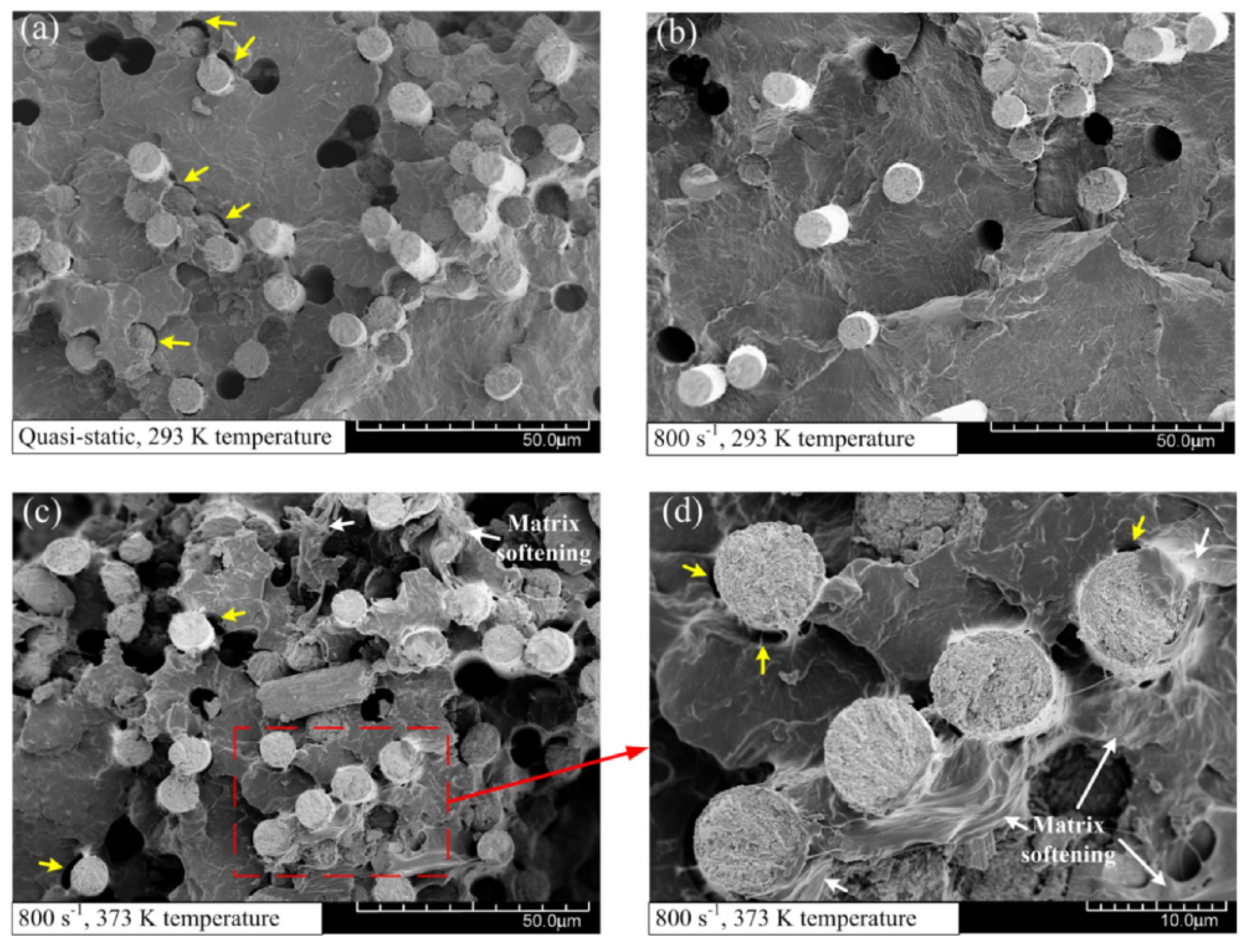 Polymers 13 02839 g020 Polymers 13 02839 g020