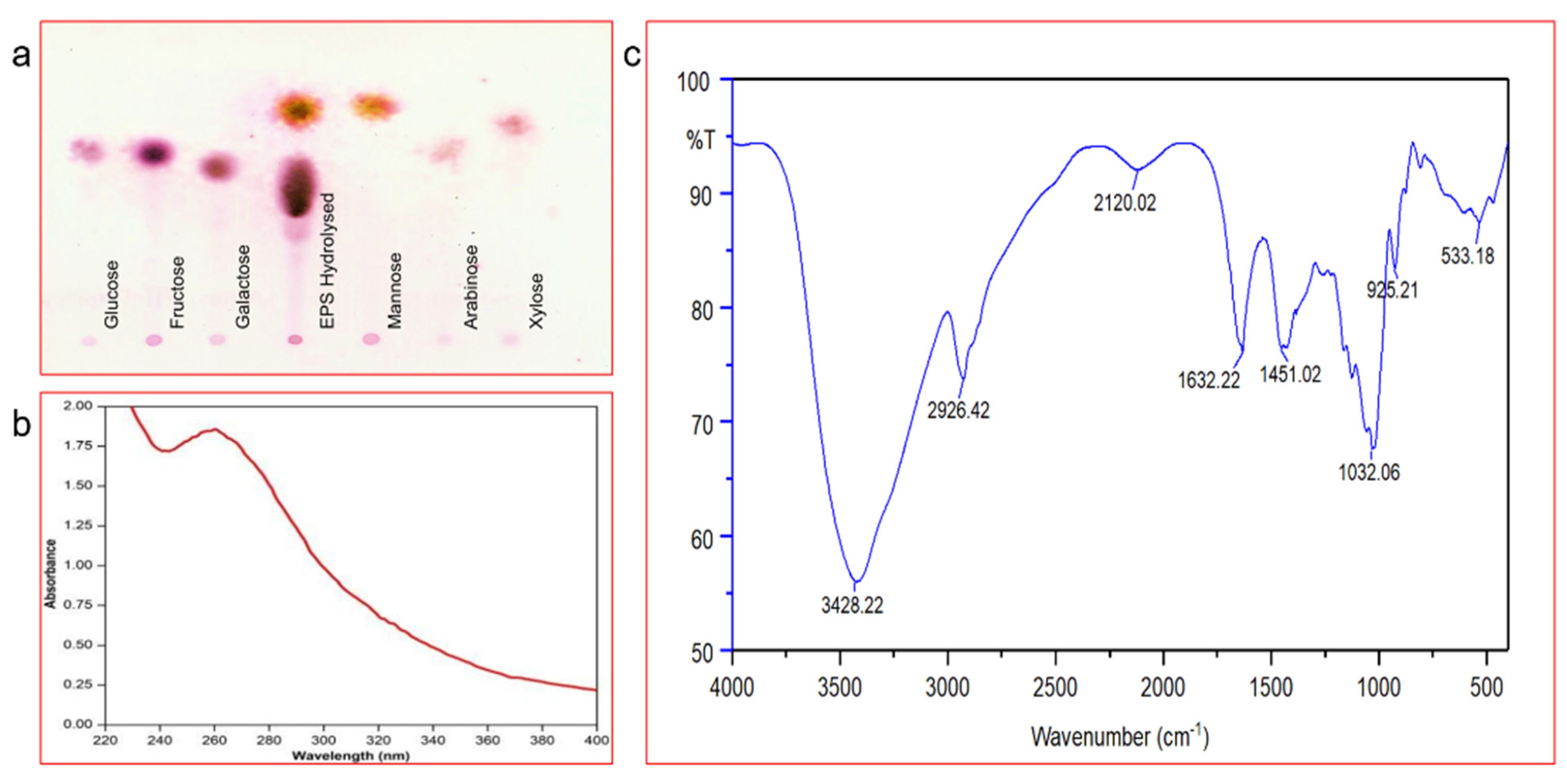 Polymers Free Full Text Structural Characterisation And Assessment Of The Novel Bacillus Amyloliquefaciens Rk3 Exopolysaccharide On The Improvement Of Cognitive Function In Alzheimer S Disease Mice Html