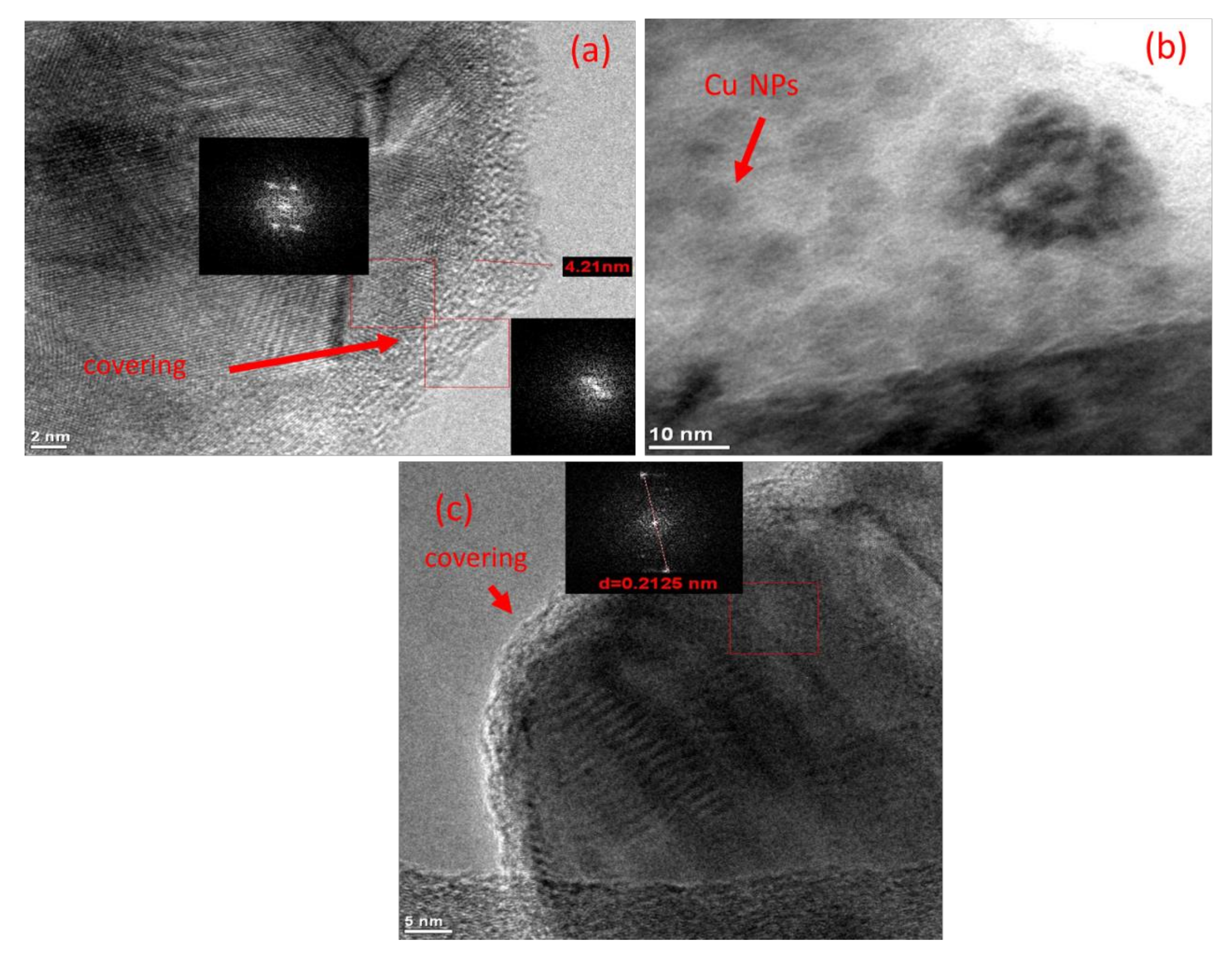 Polymers 13 02846 g004