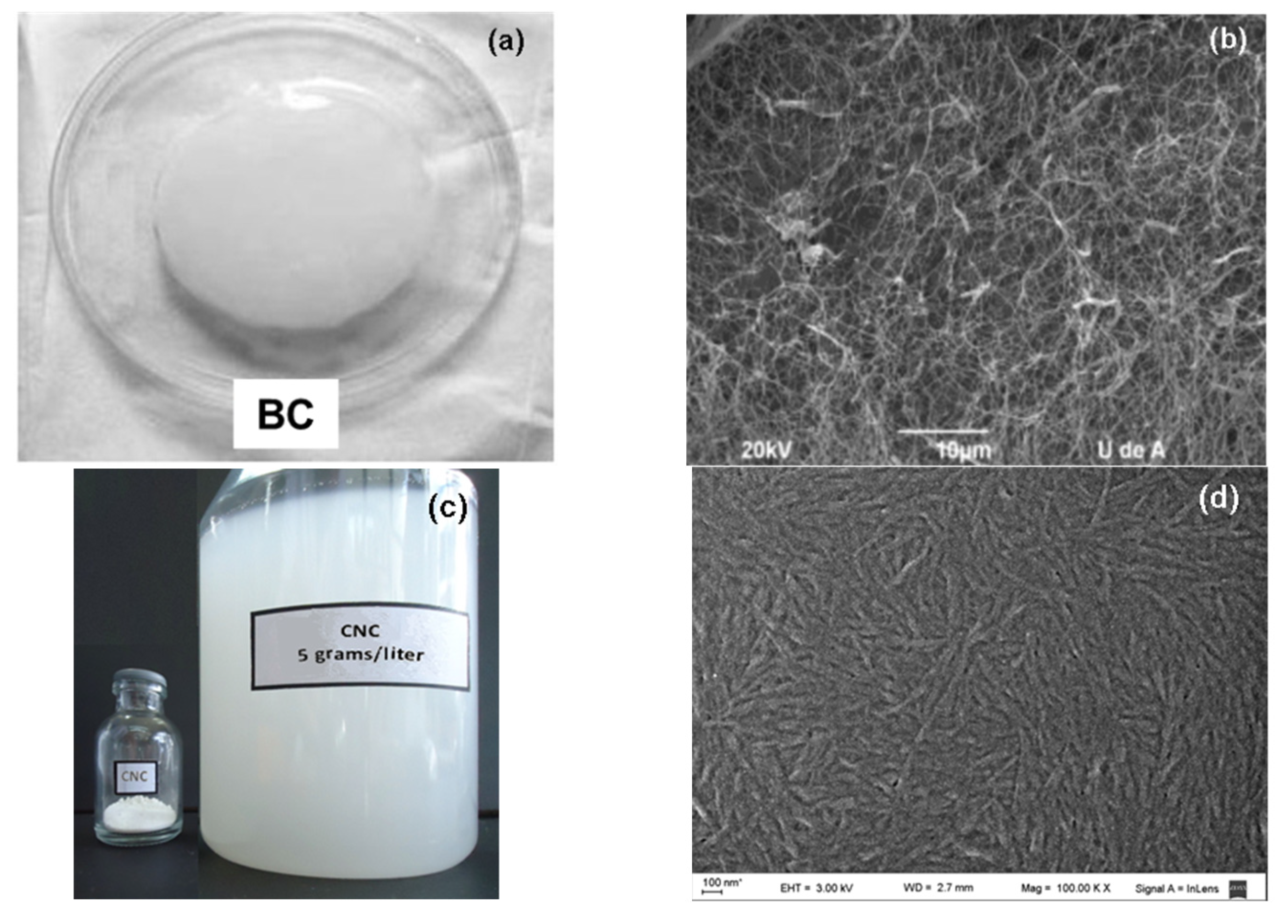 Polymers 13 02853 g002