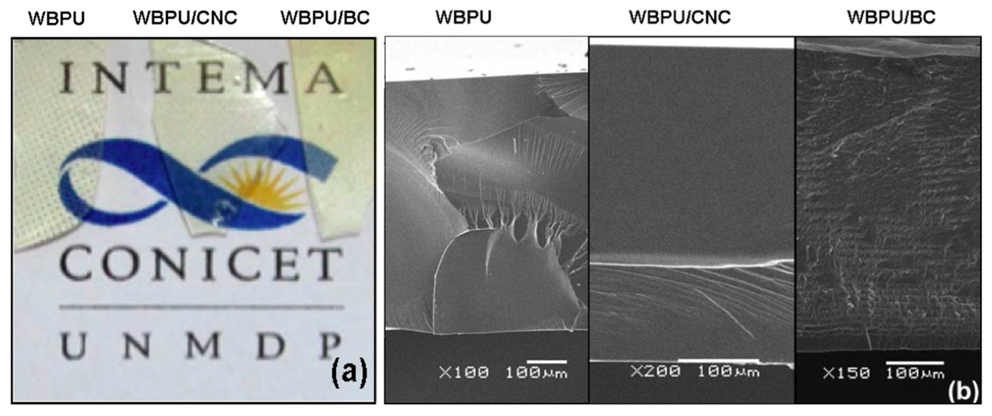 Polymers 13 02853 g005