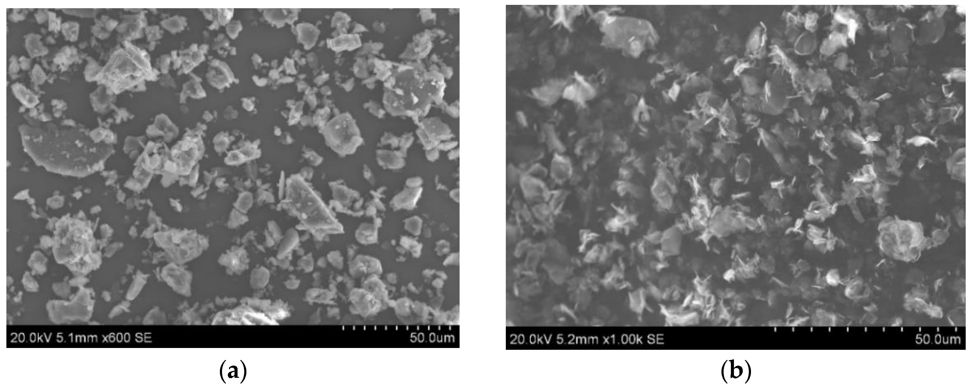 Polymers 13 02854 g001