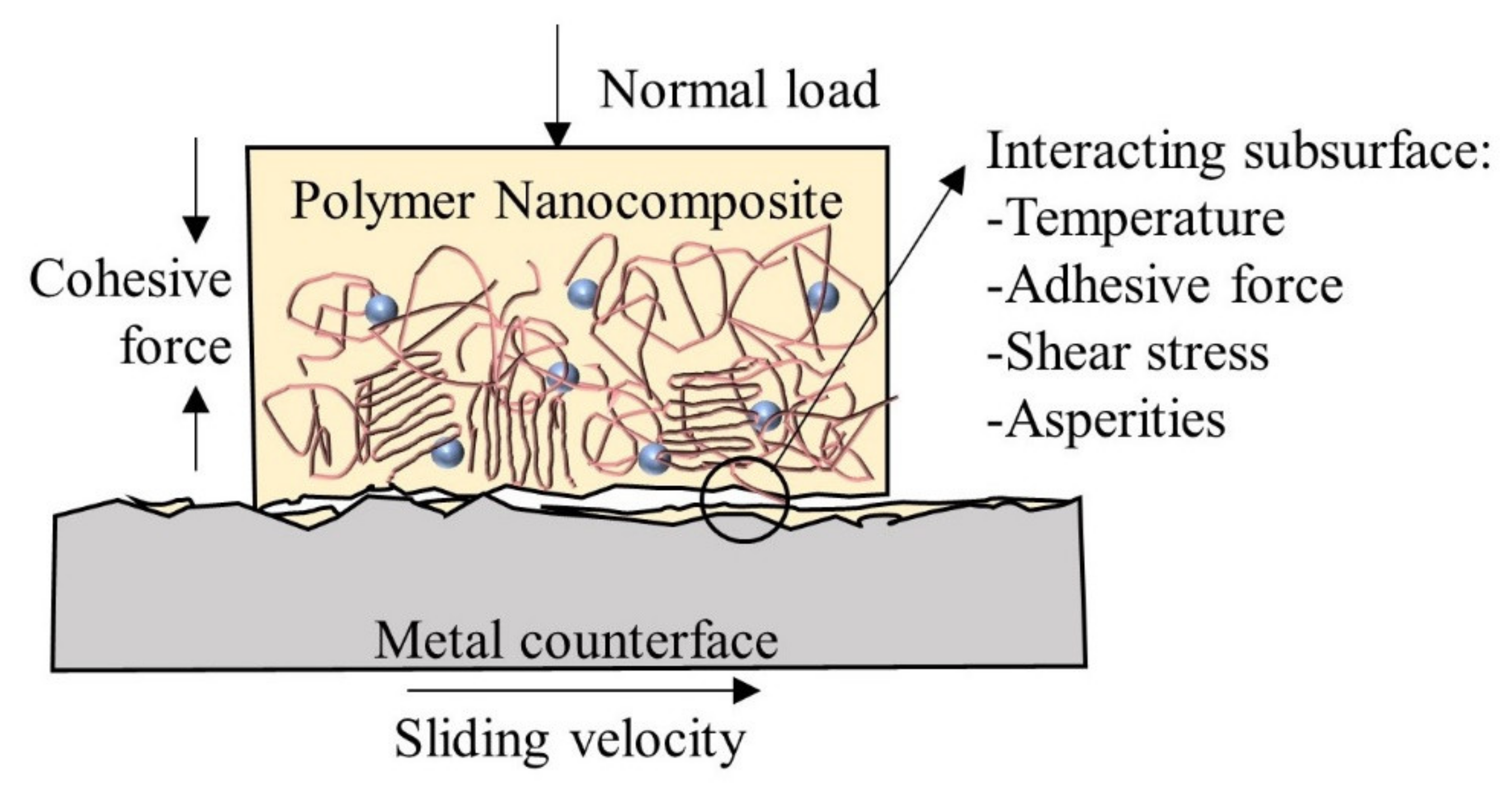 Polymers 13 02867 g002