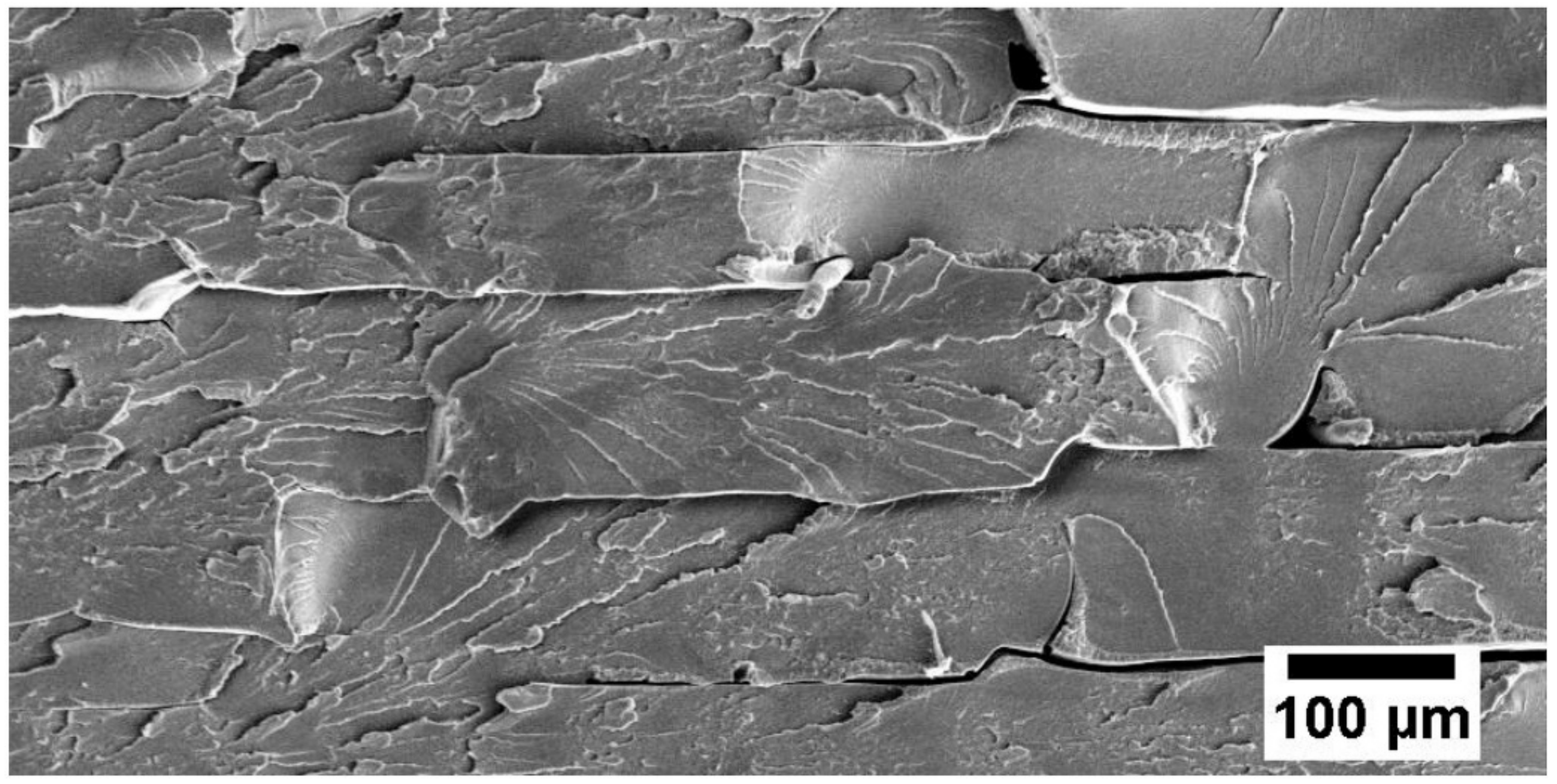 Polymers 13 02867 g003
