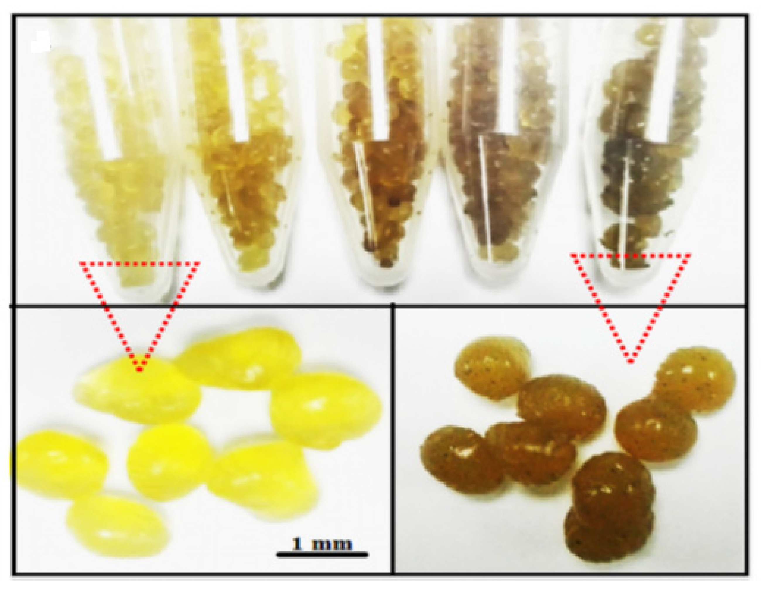 Polymers 13 02870 g007 Polymers 13 02870 g007