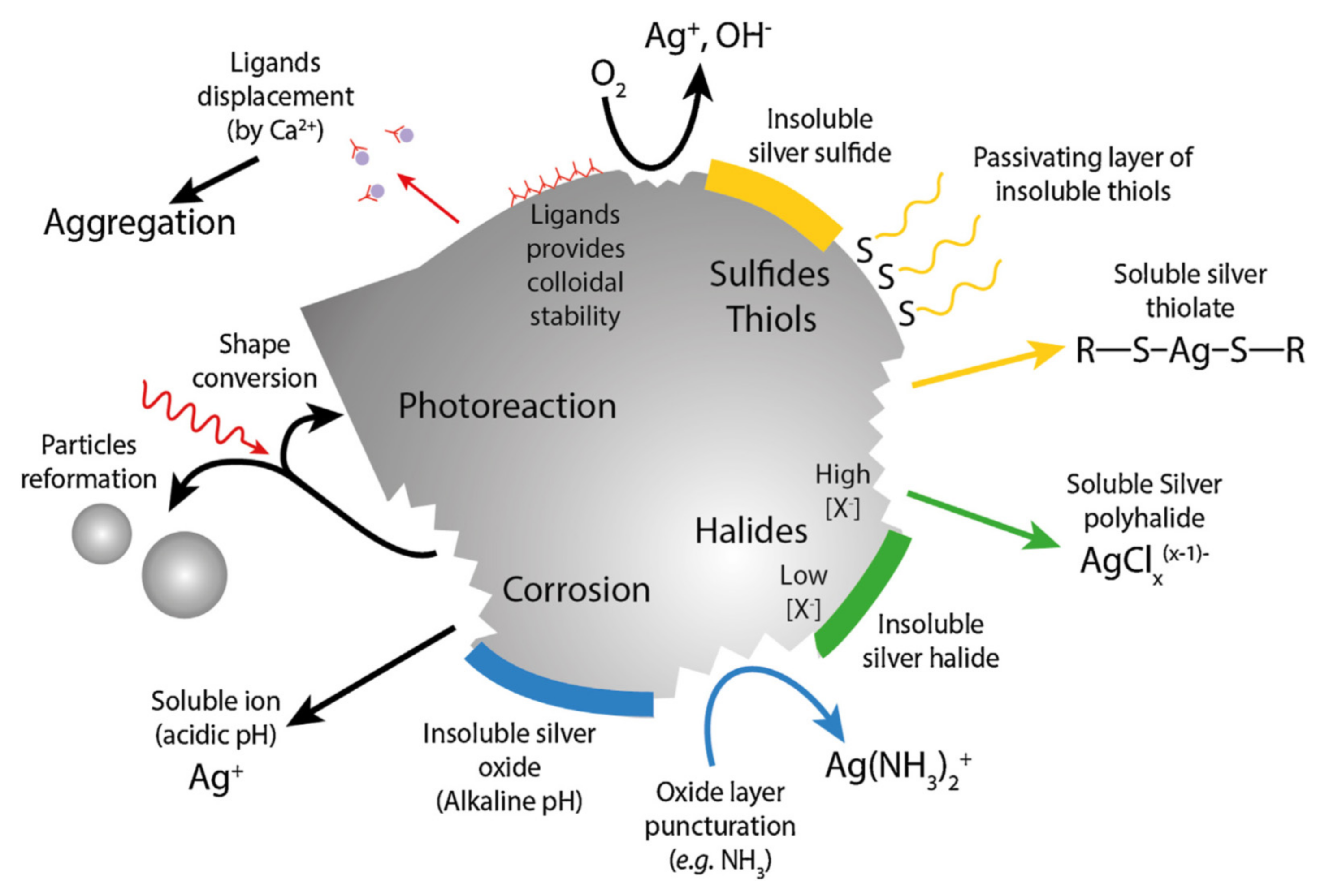 Polymers 13 02870 g014 Polymers 13 02870 g014