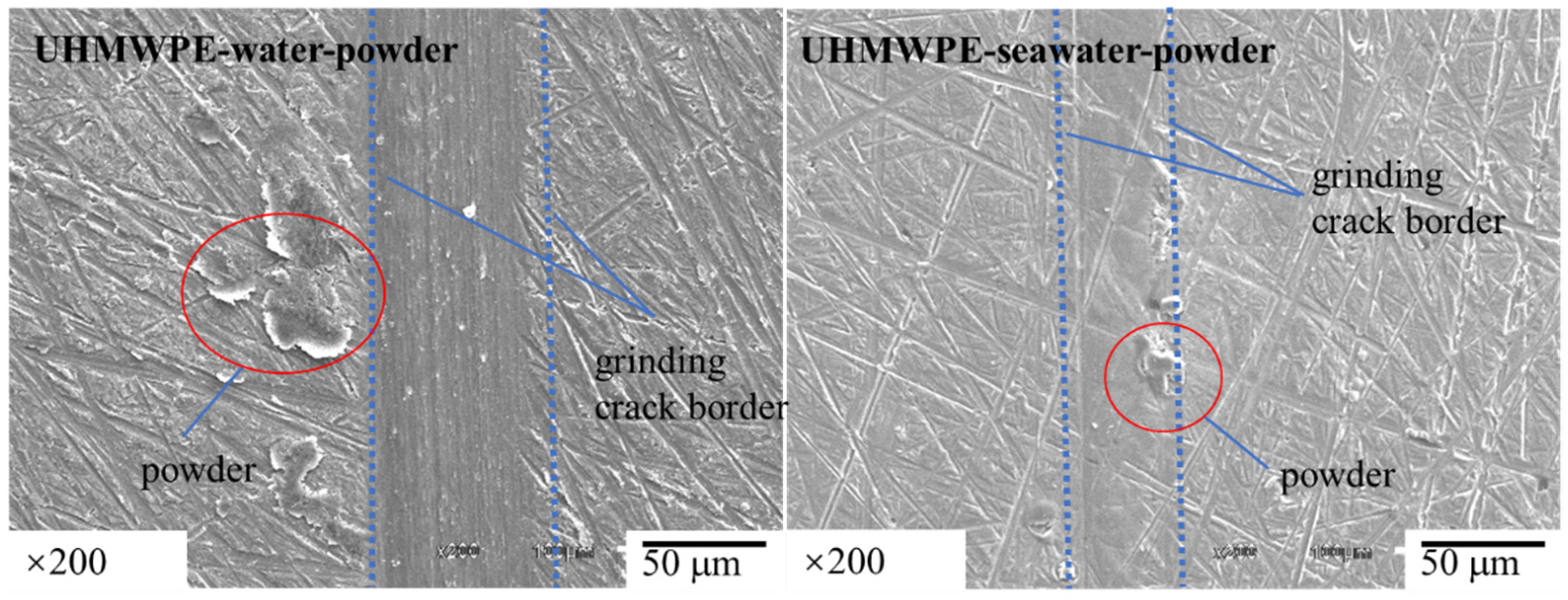 Polymers 13 02874 g006