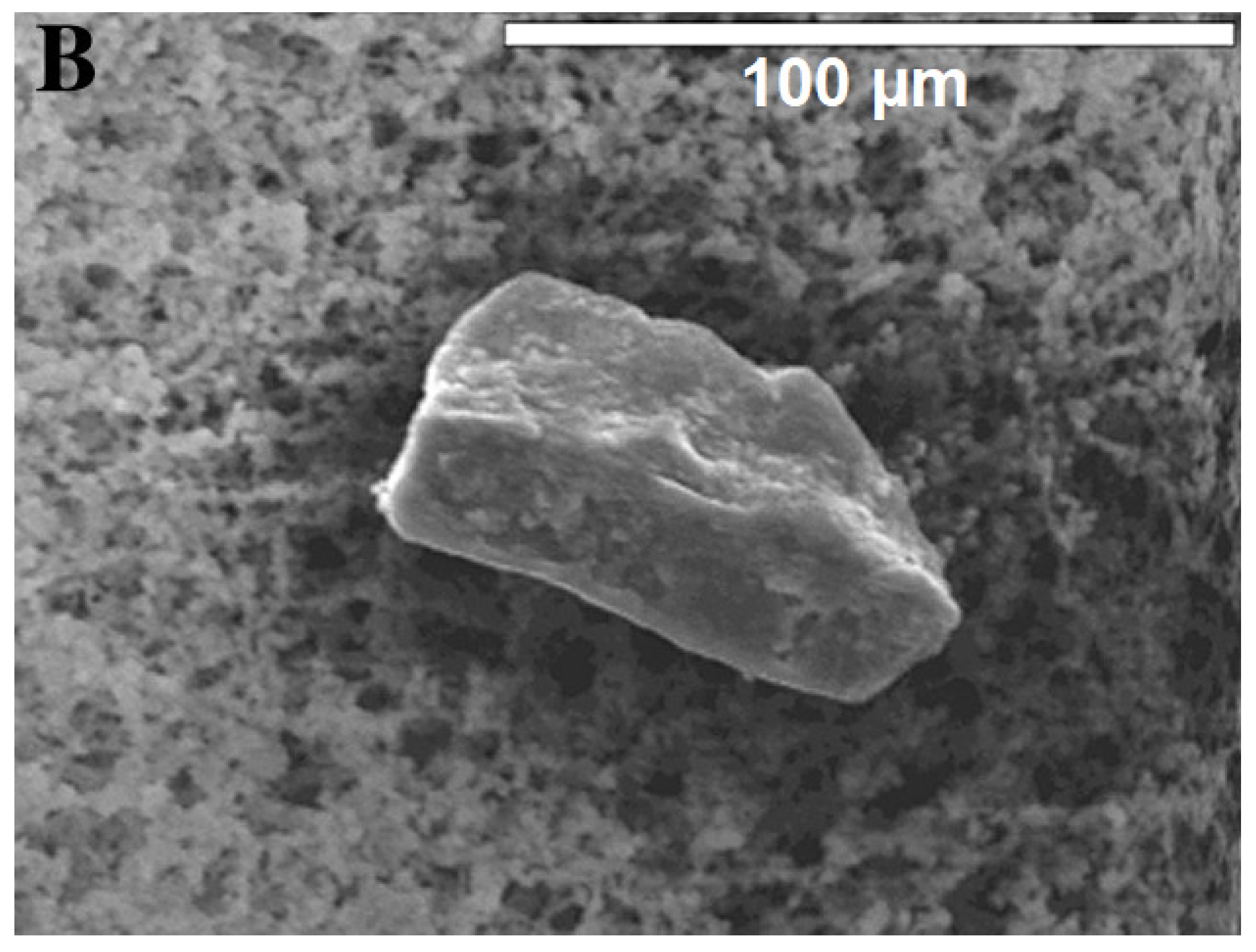 Polymers 13 02881 g002 Polymers 13 02881 g002