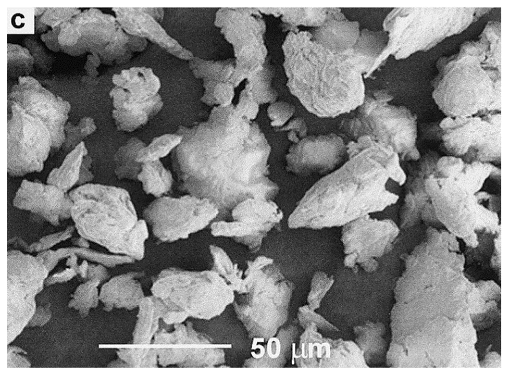 Polymers 13 02881 g004 Polymers 13 02881 g004