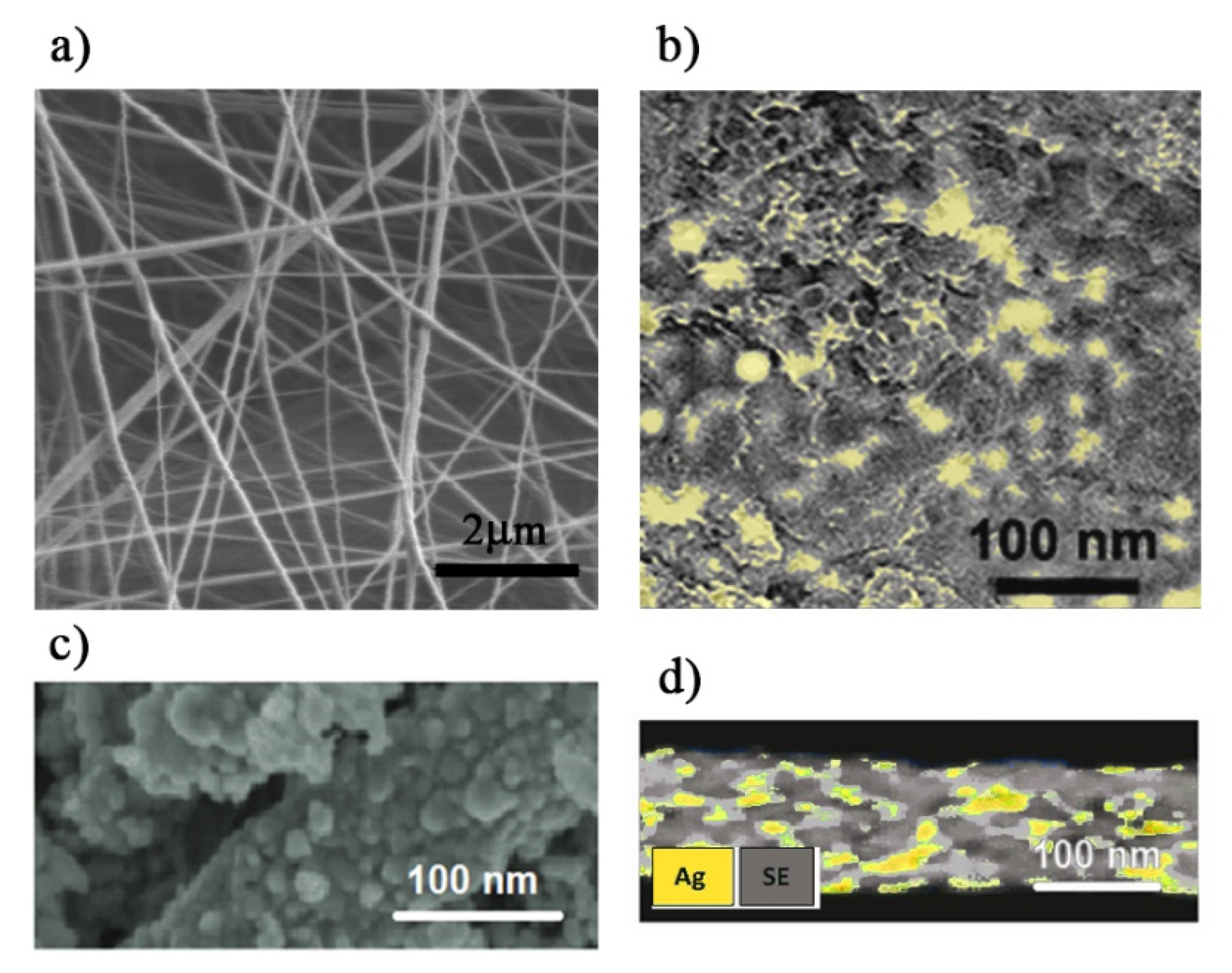 Polymers 13 02897 g005
