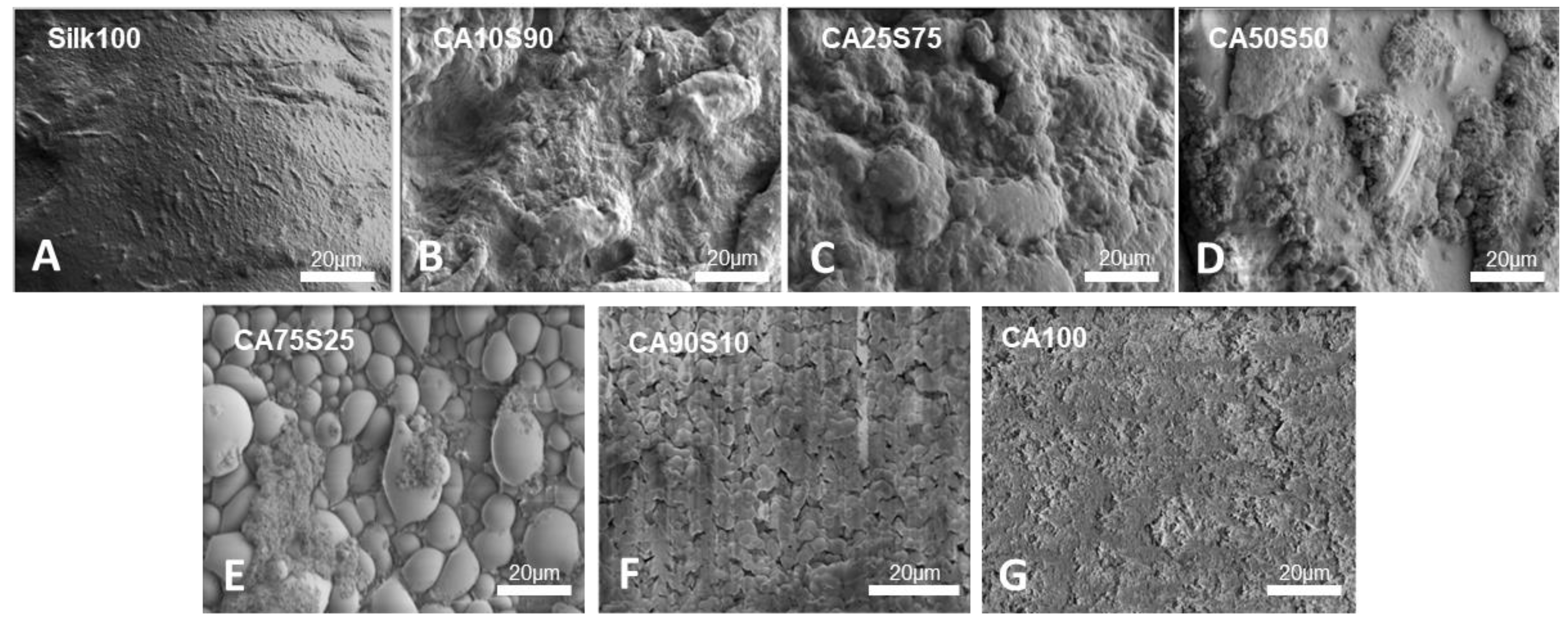 Polymers 13 02911 g002 Polymers 13 02911 g002