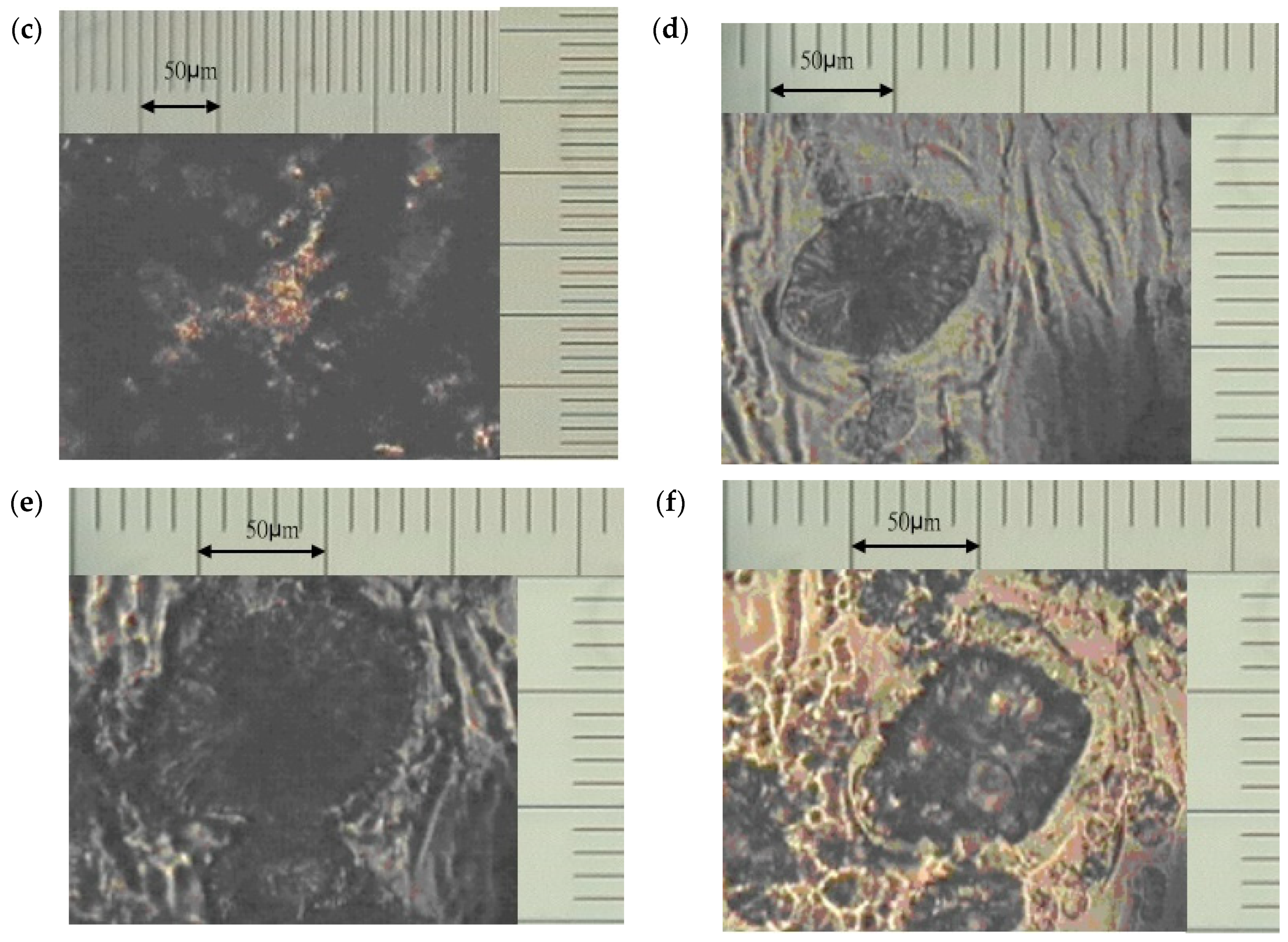 Polymers 13 02917 g002b