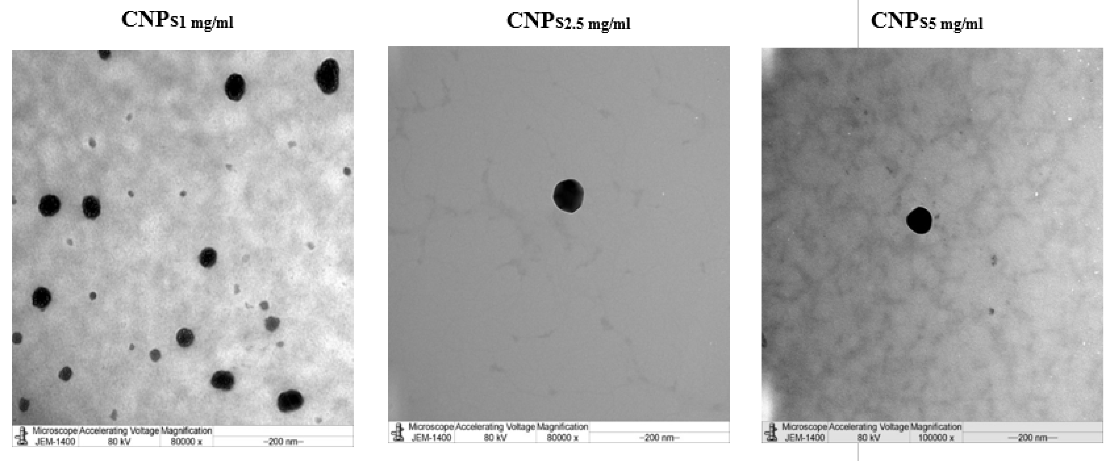 Polymers 13 02924 g002