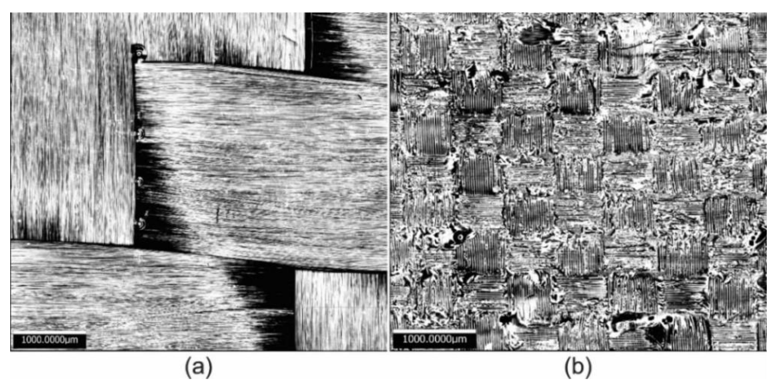 Polymers 13 02933 g002