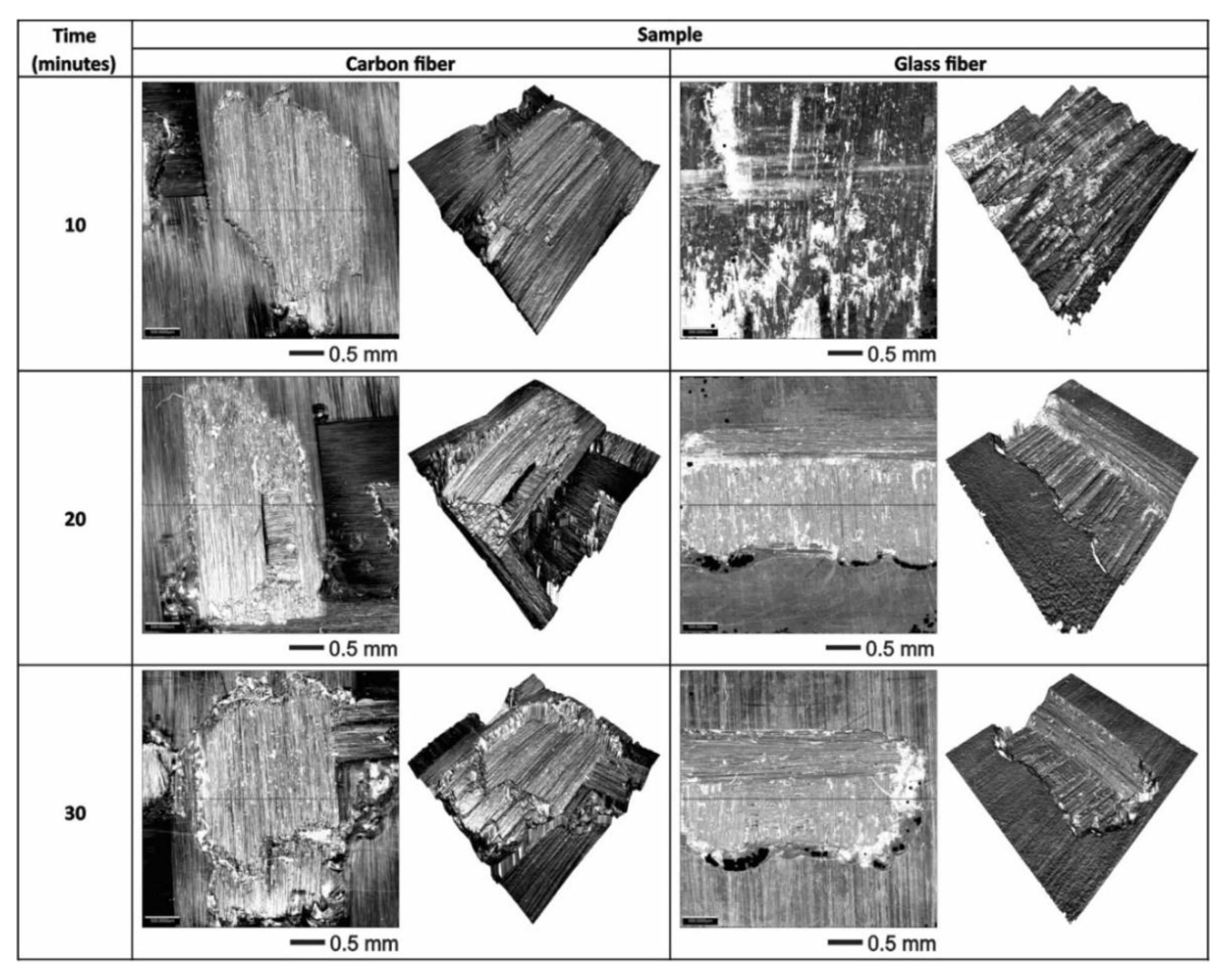 Polymers 13 02933 g007