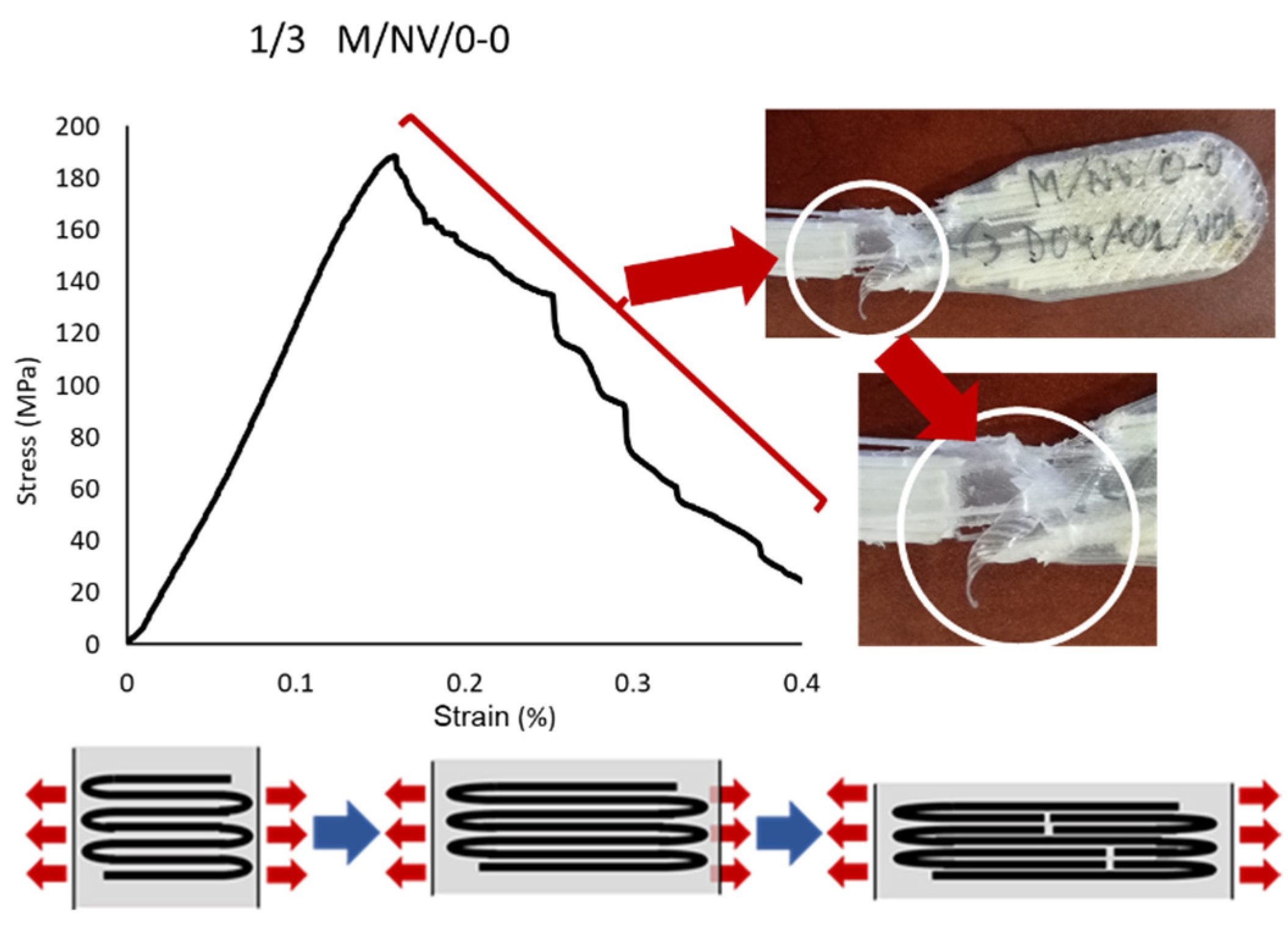 Polymers 13 02934 g018