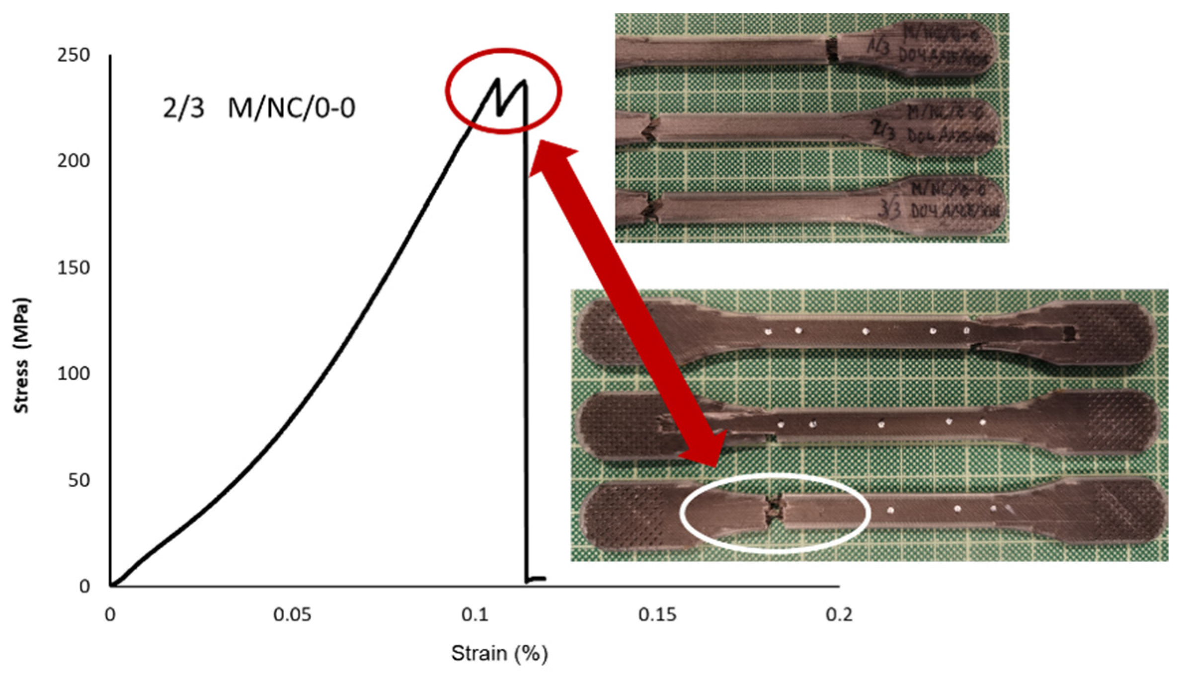 Polymers 13 02934 g025