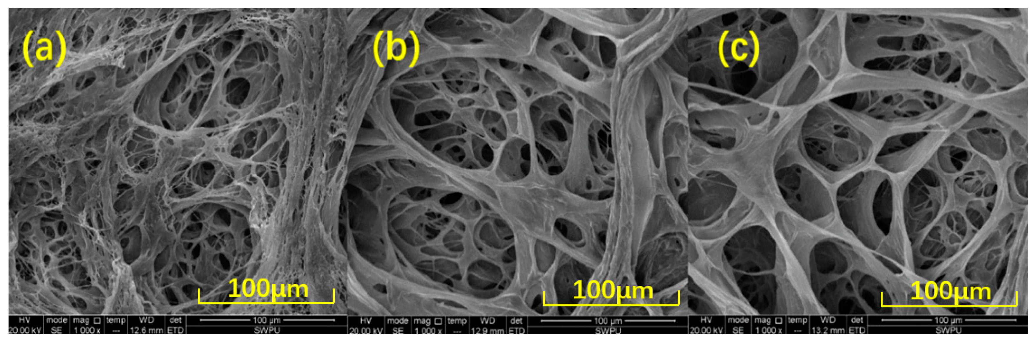 Polymers 13 02972 g009 Polymers 13 02972 g009
