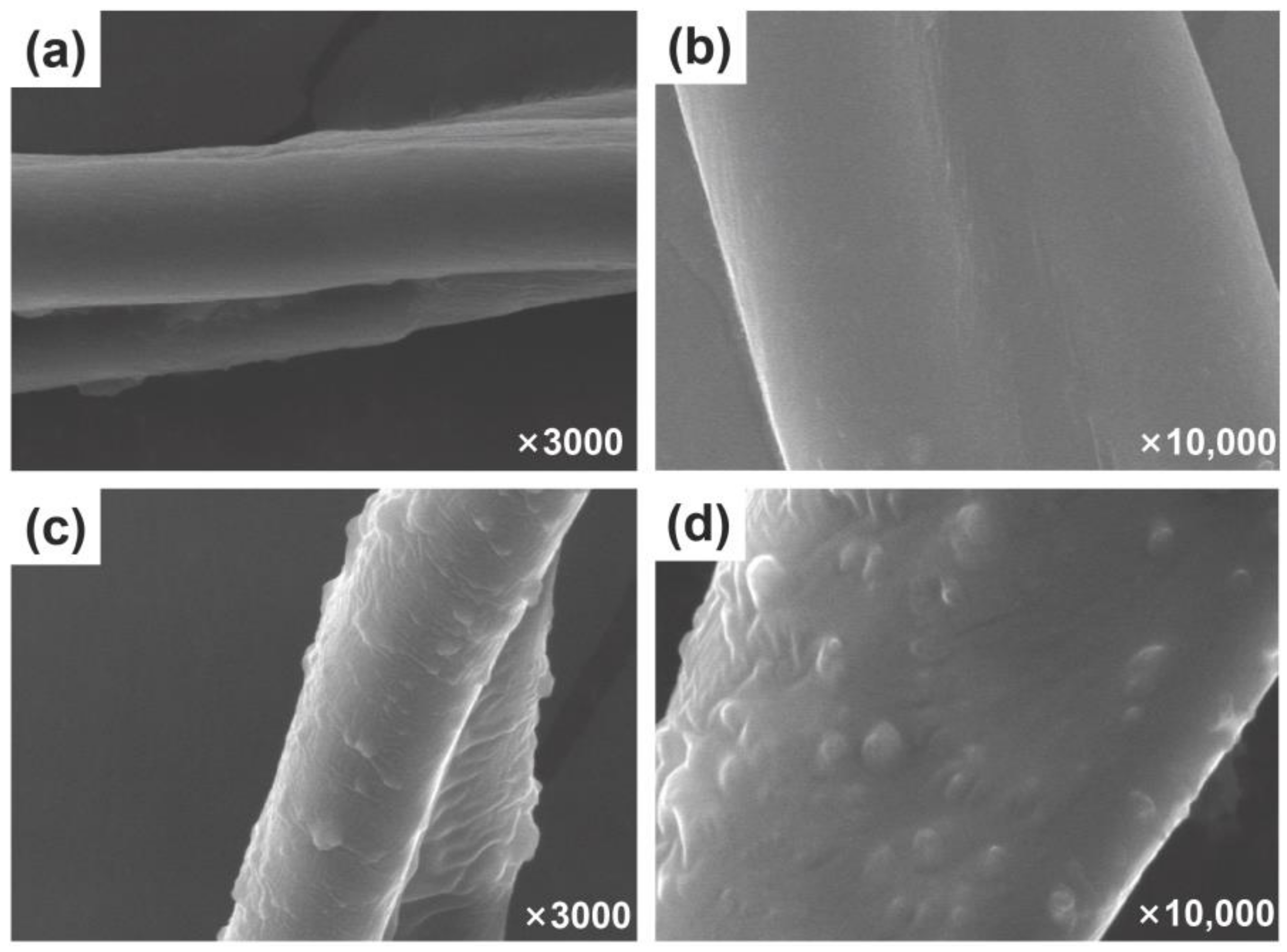 Polymers 13 02980 g001
