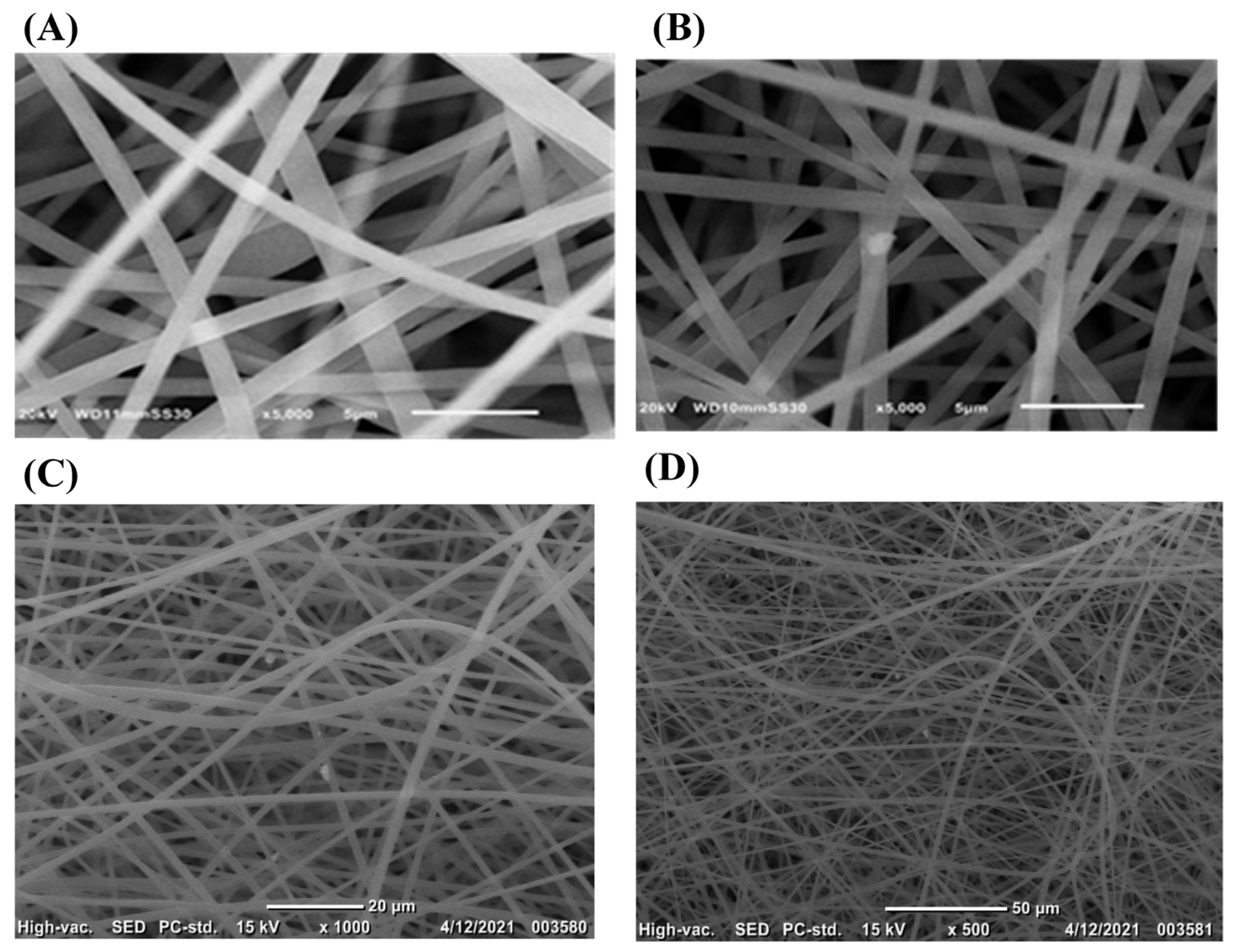 Polymers 13 02987 g002