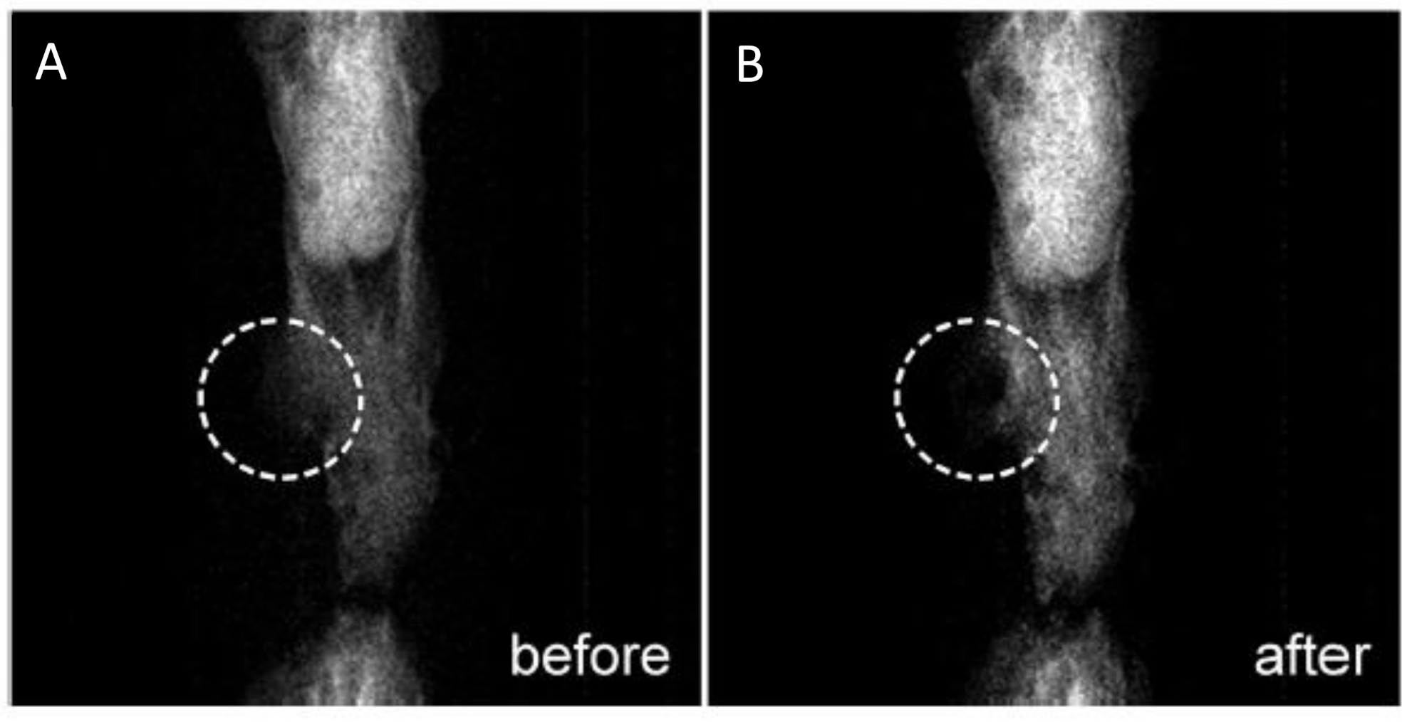 Polymers 13 02989 g004