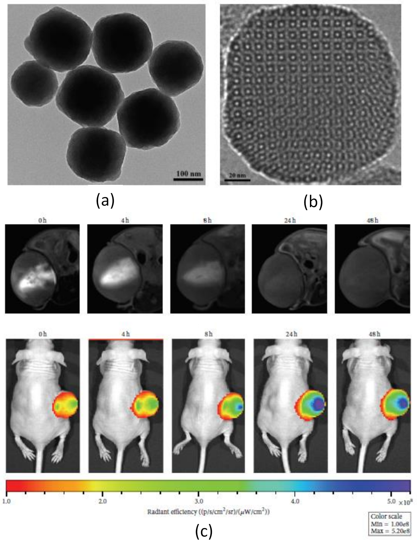 Polymers 13 02989 g008
